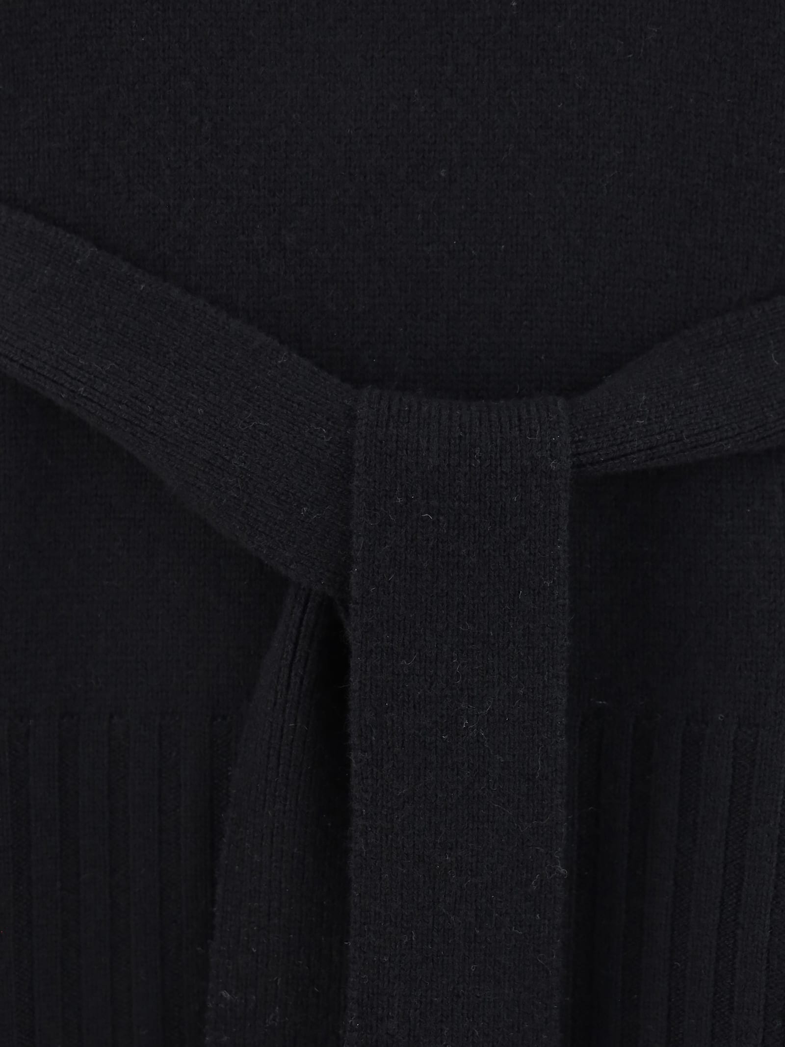 Wild Cashmere Katie Belted Sweater In Black