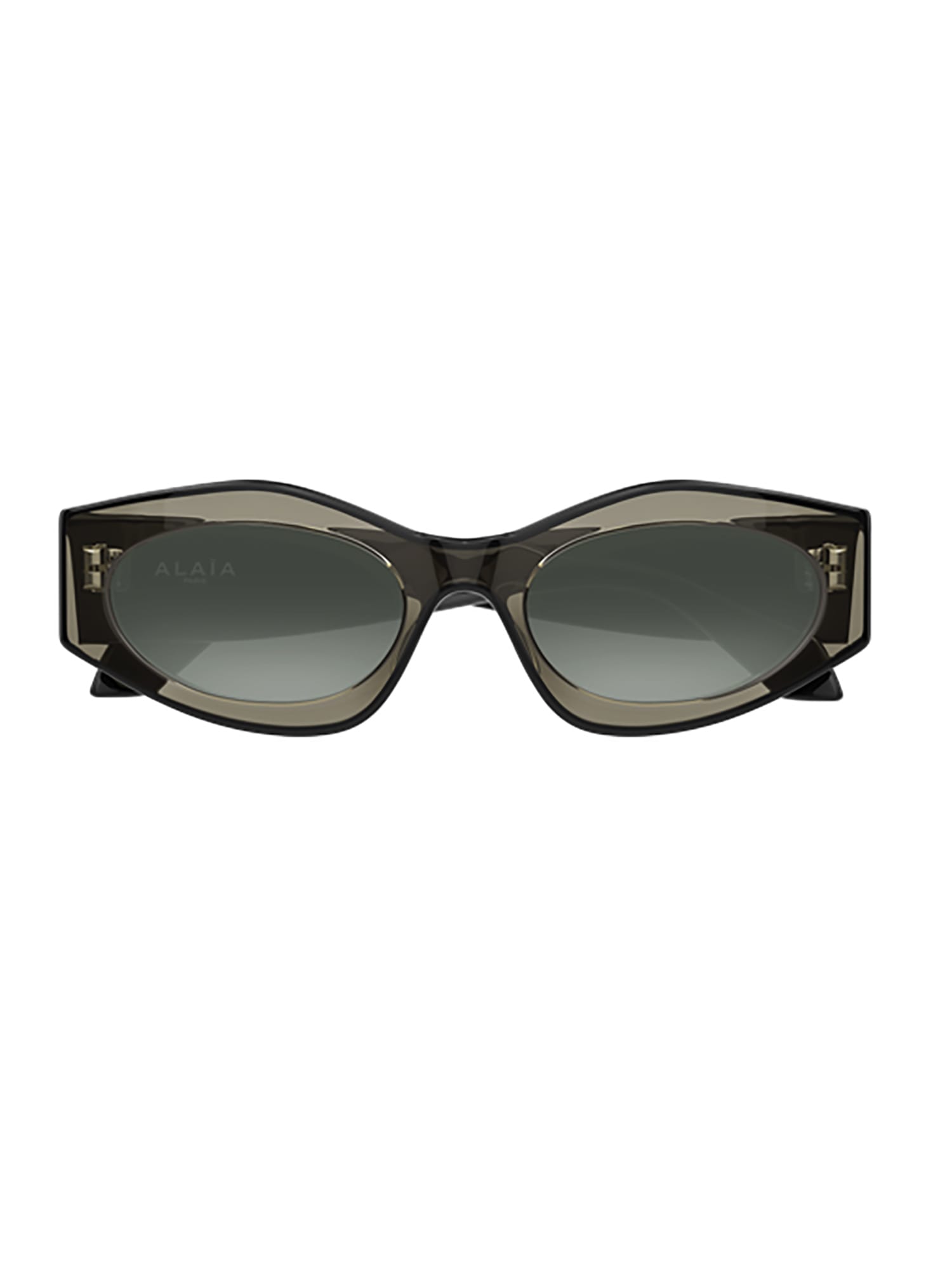 Alaïa Aa0093s Sunglasses In Green