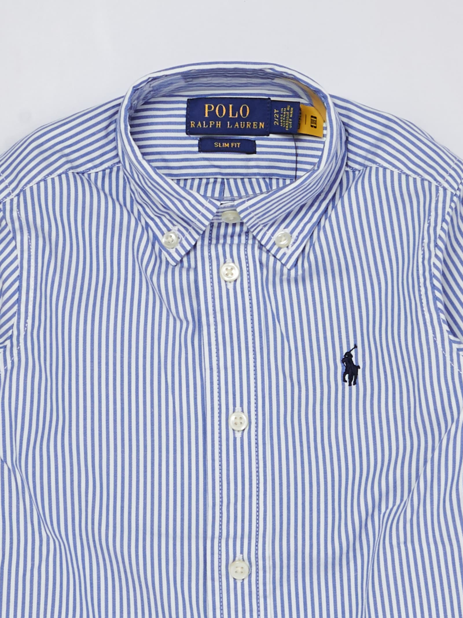 Shop Polo Ralph Lauren Shirt Shirt In Riga Bianco-blu