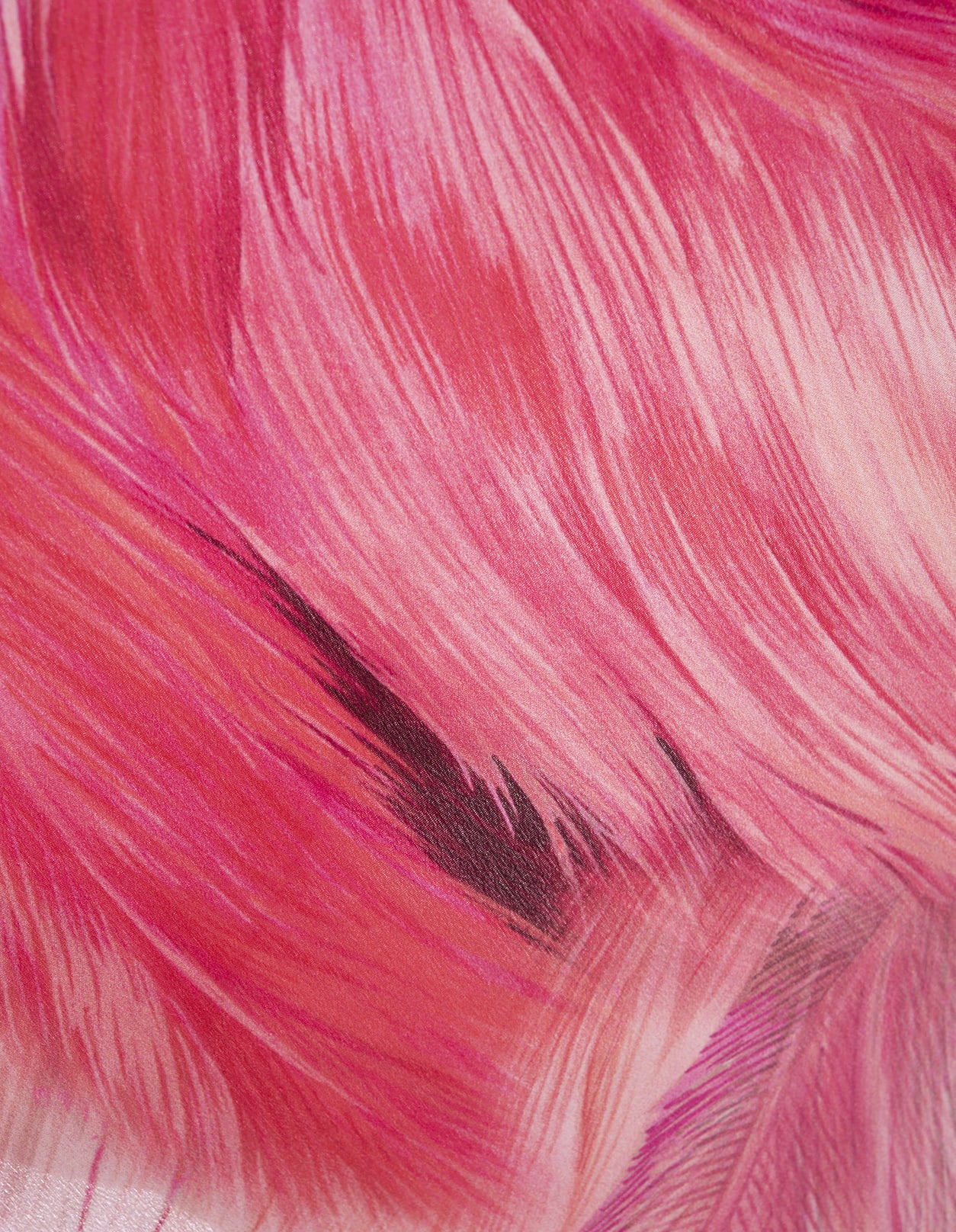 Shop Roberto Cavalli Short Caftan With Plumage Print In Pink