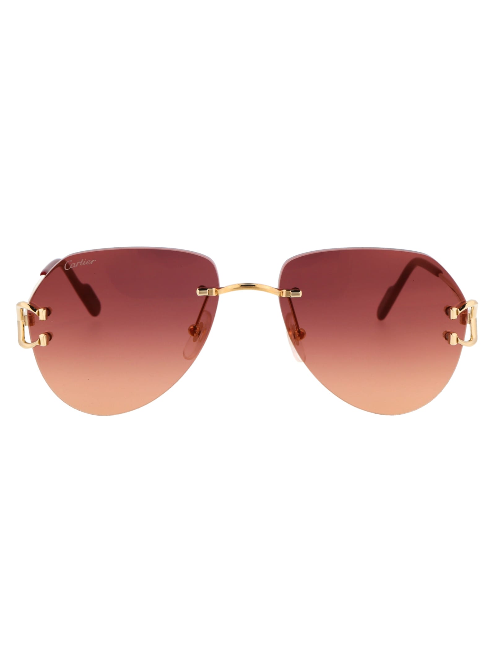 Ct0001cs Sunglasses