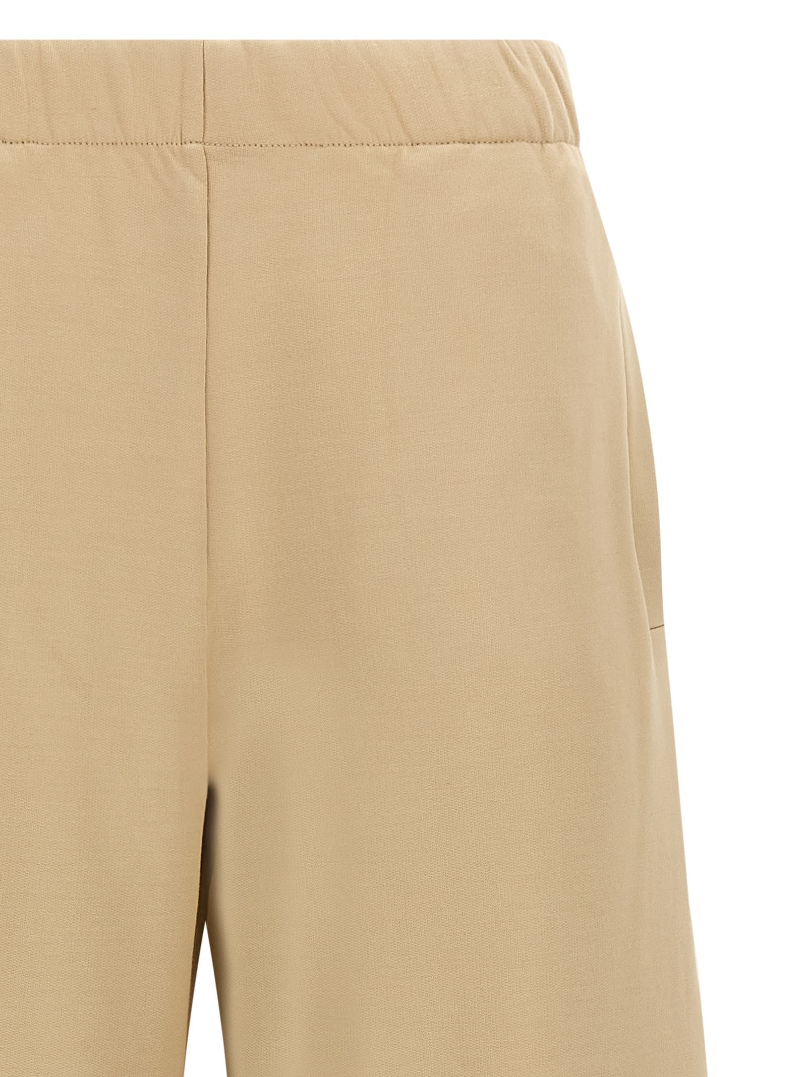 Max Mara Filovia Pants In Neutral