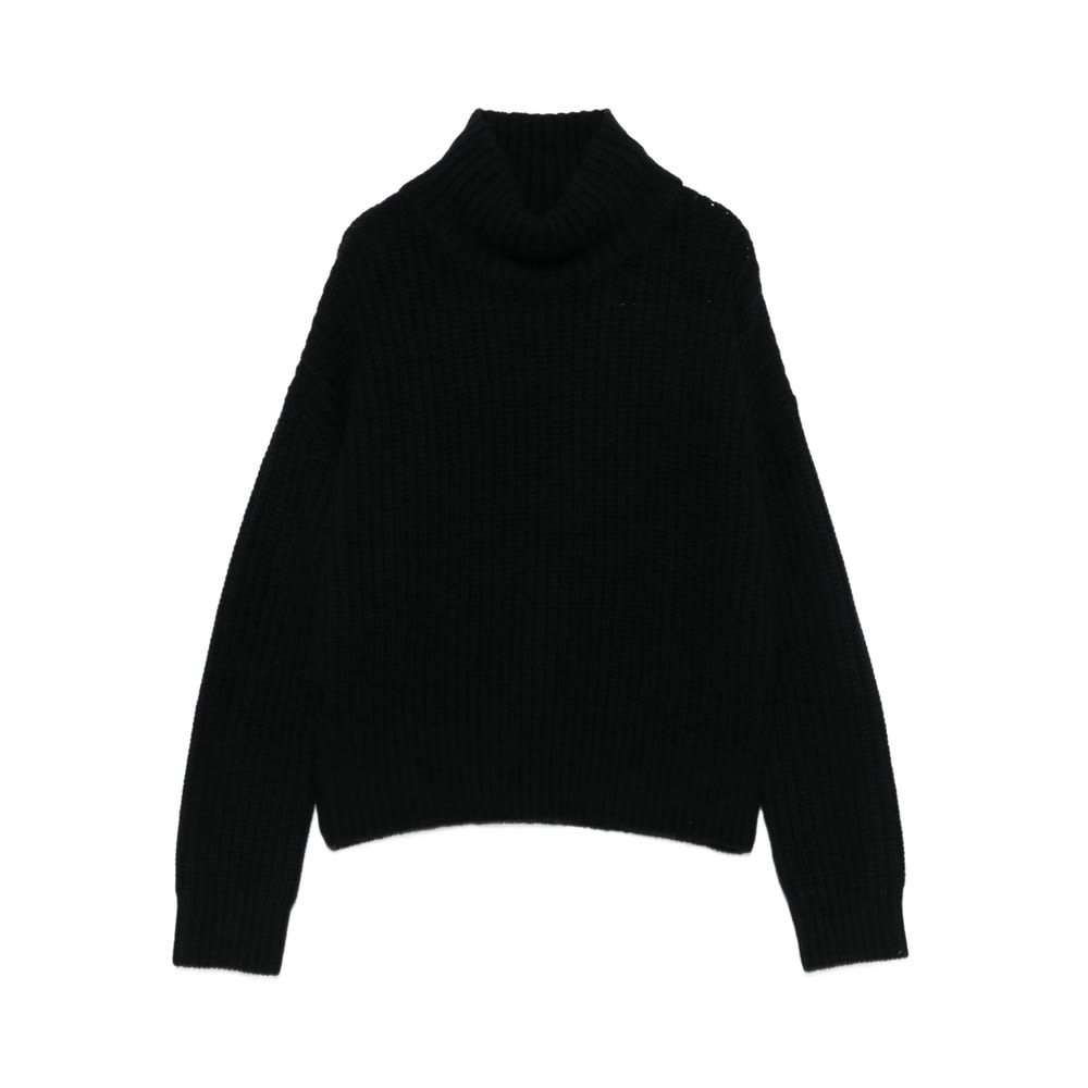 Lisa Yang Turtleneck Ribbed Jumper In Black