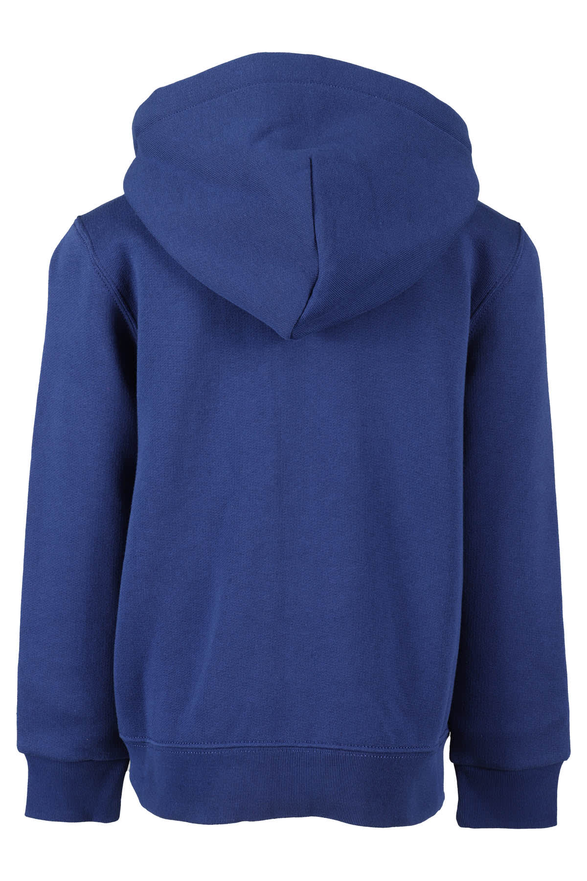 Shop Polo Ralph Lauren Hoodies In Blue