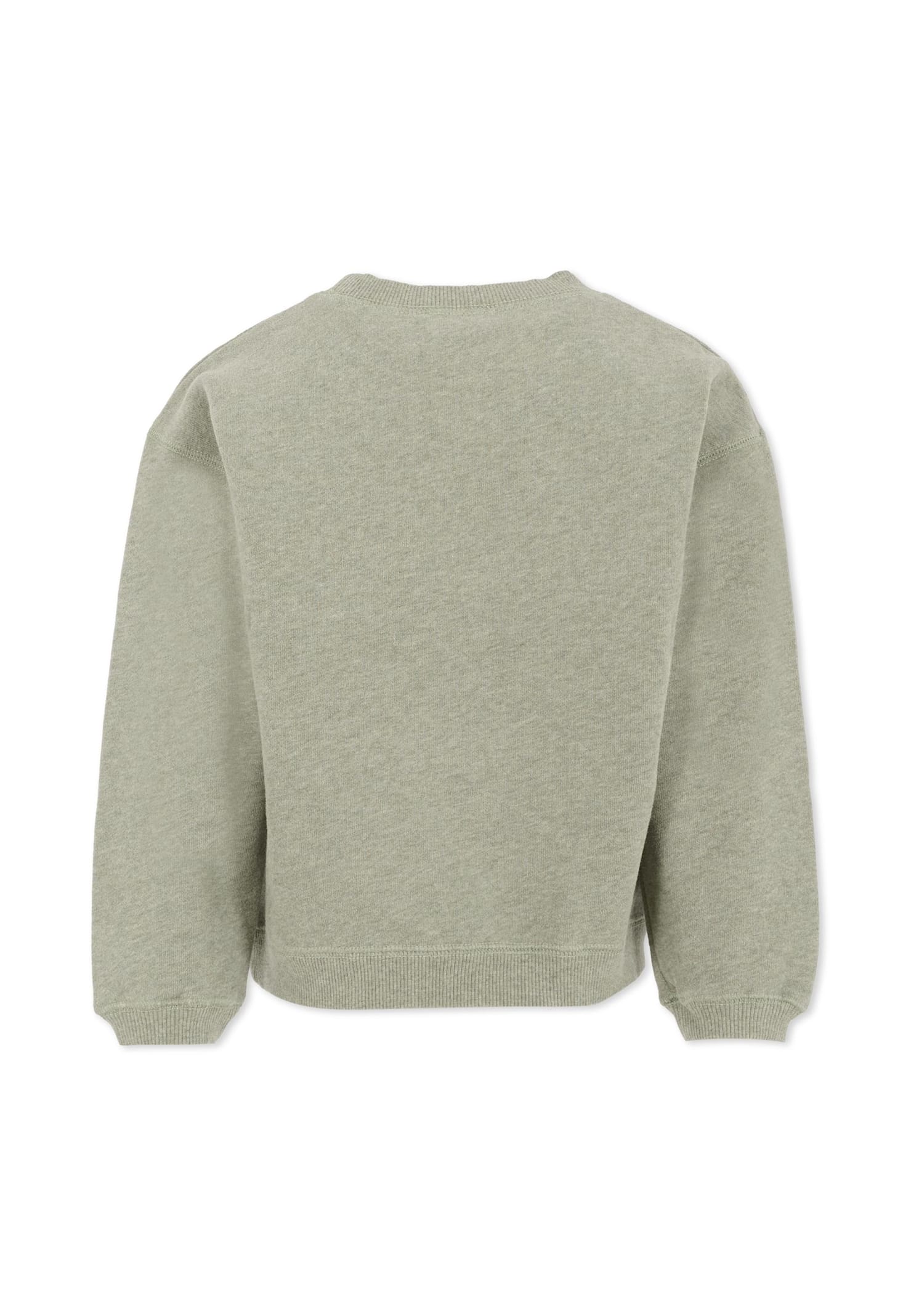 Bonpoint Tonino Sweatshirt In Grey-green With Embroidered Logo In Green