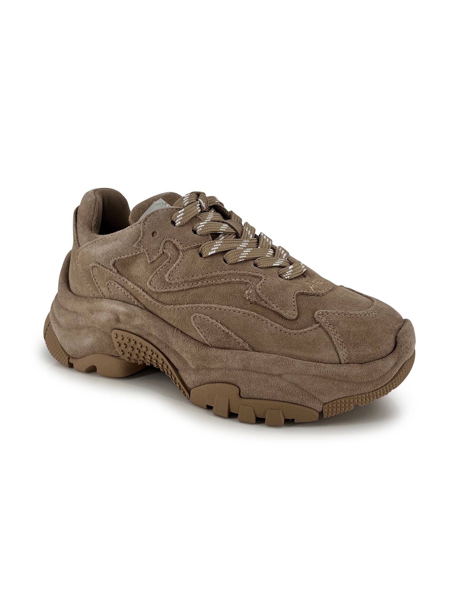 Ash Sneakers Addict Bis Noisette In Brown