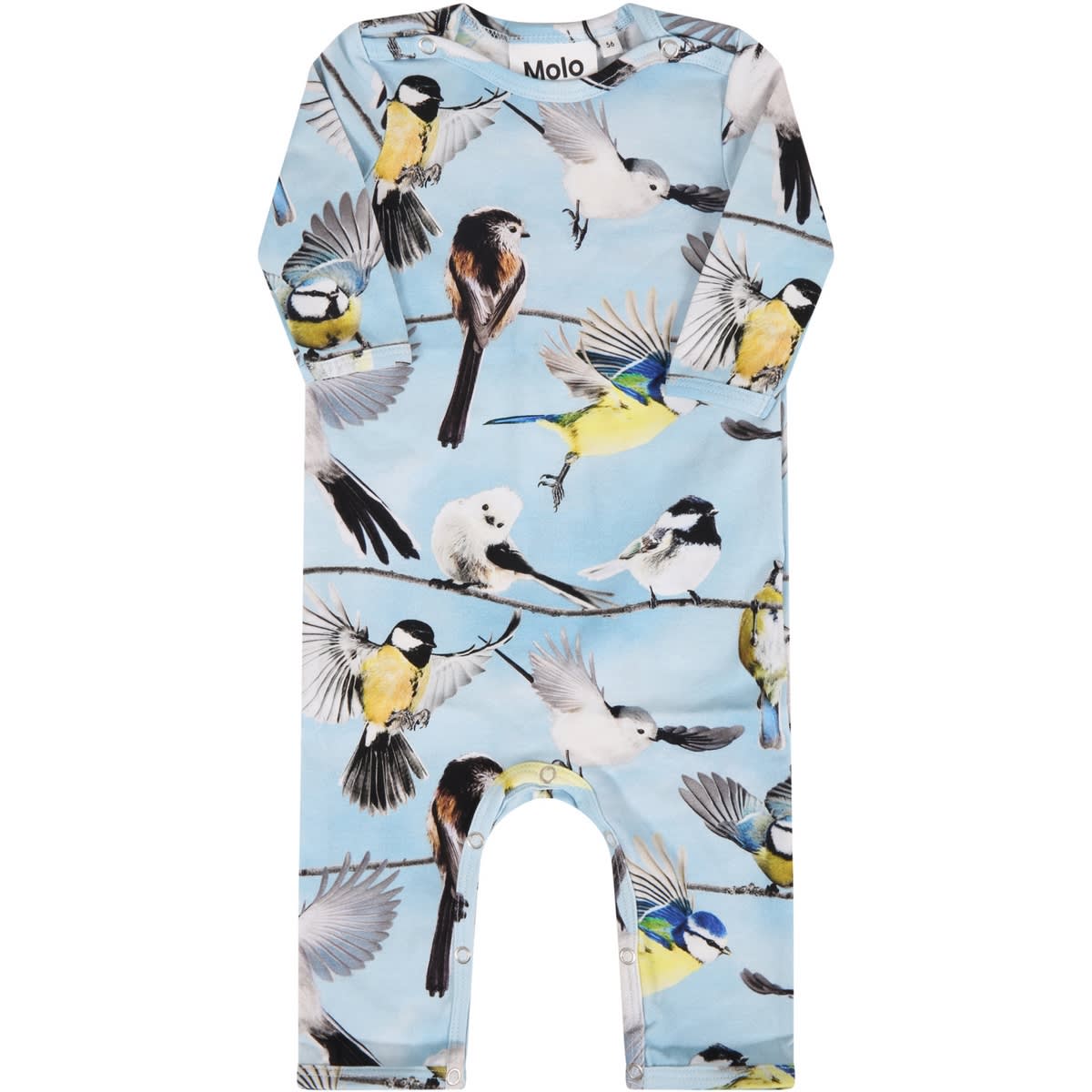 Molo Light Blue fenez Babygrow For Baby Boy With Birds