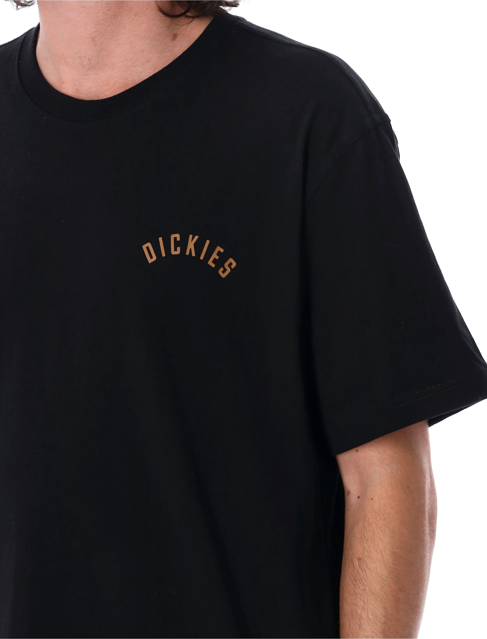 Shop Dickies Panther T-shirt In Black