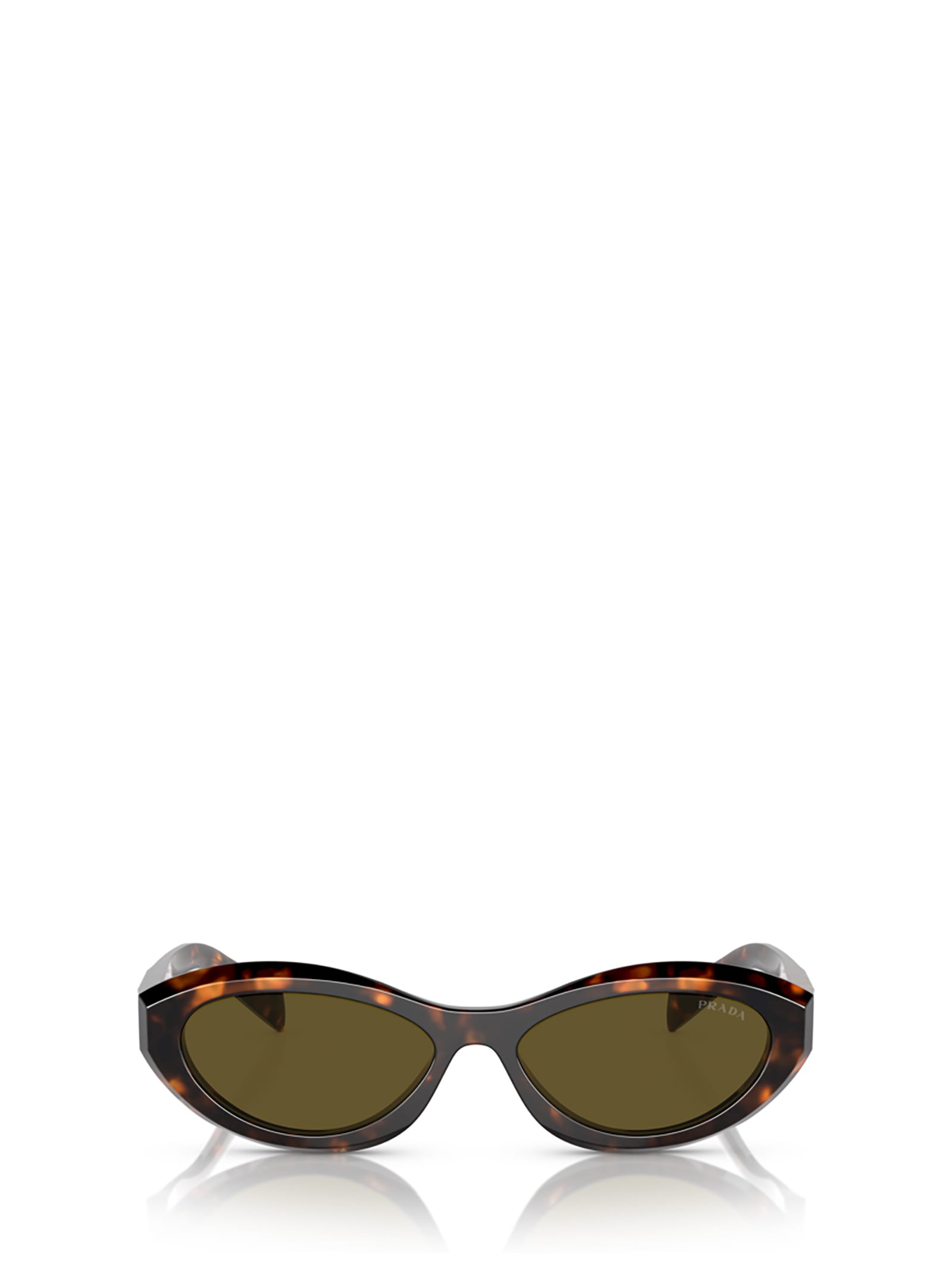 Prada Pr 26zs Sage / Honey Tortoise Sunglasses