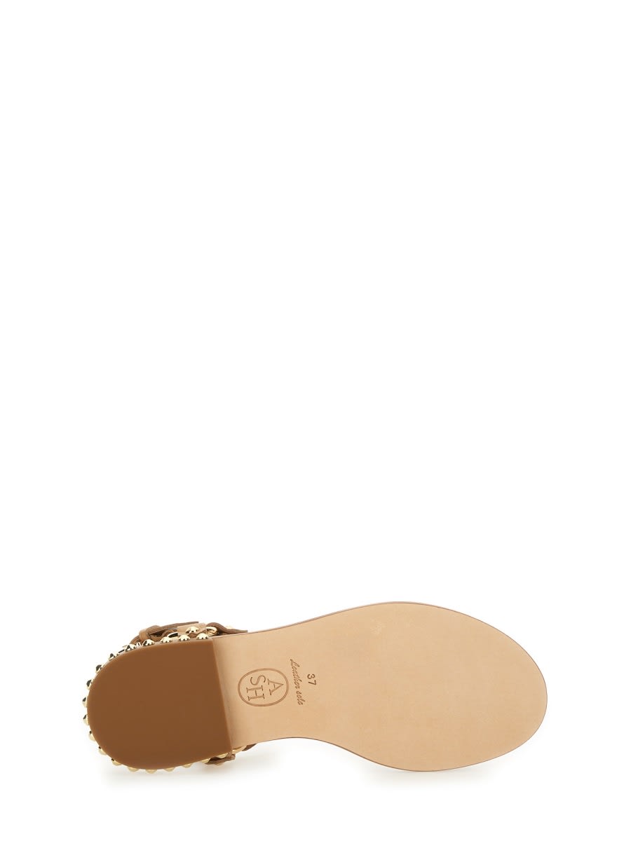 Ash Crocodile Print Sandal With Studs In Brown