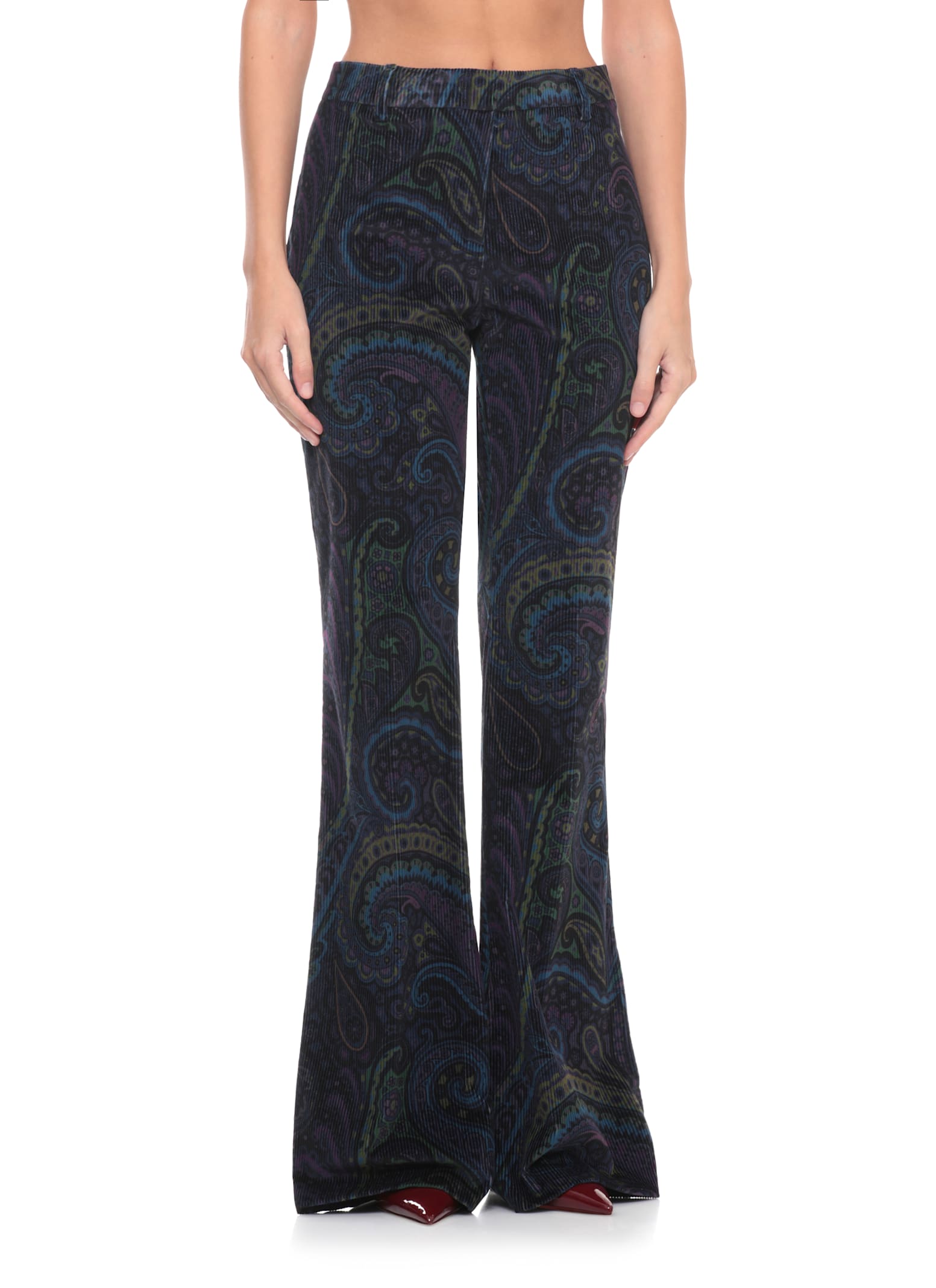 Etro Velvet Pants In Multi