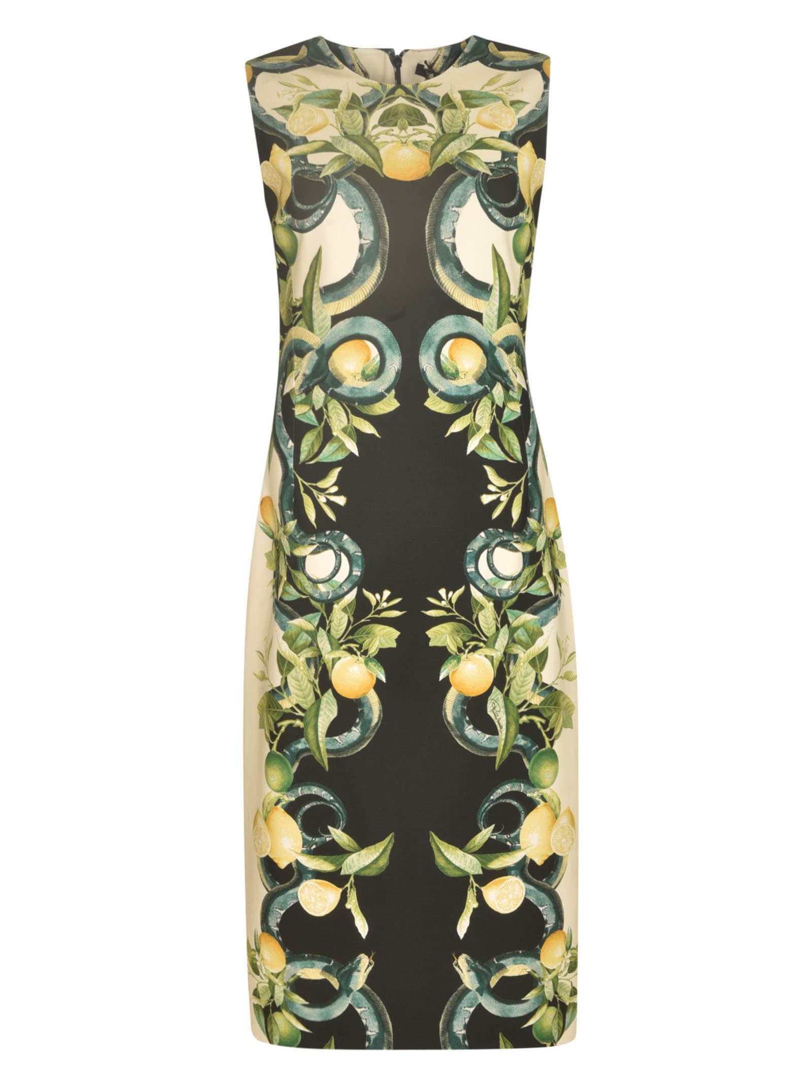 Roberto Cavalli Sleeveless Printed Dress