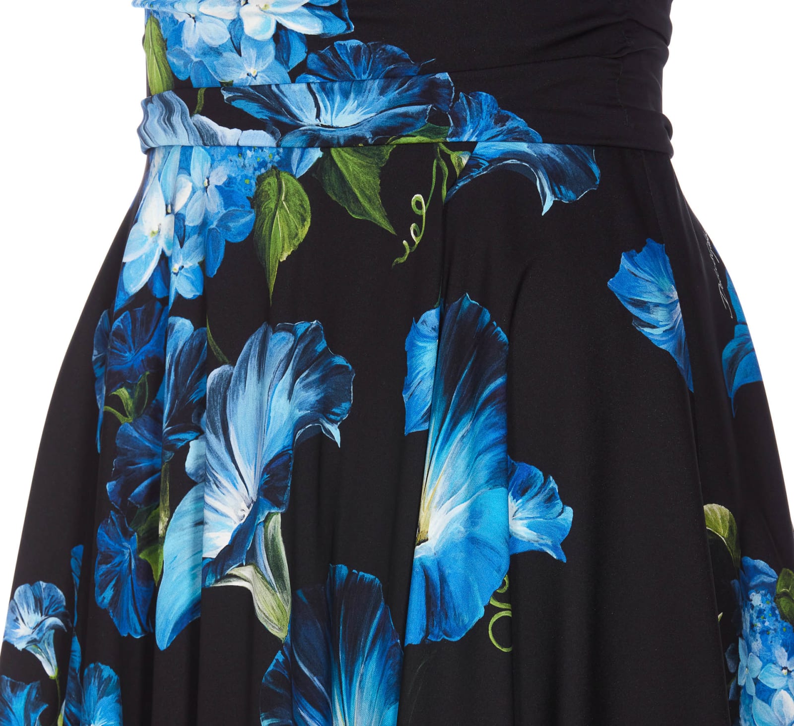 Shop Dolce & Gabbana Bluebell Print Dress In Black
