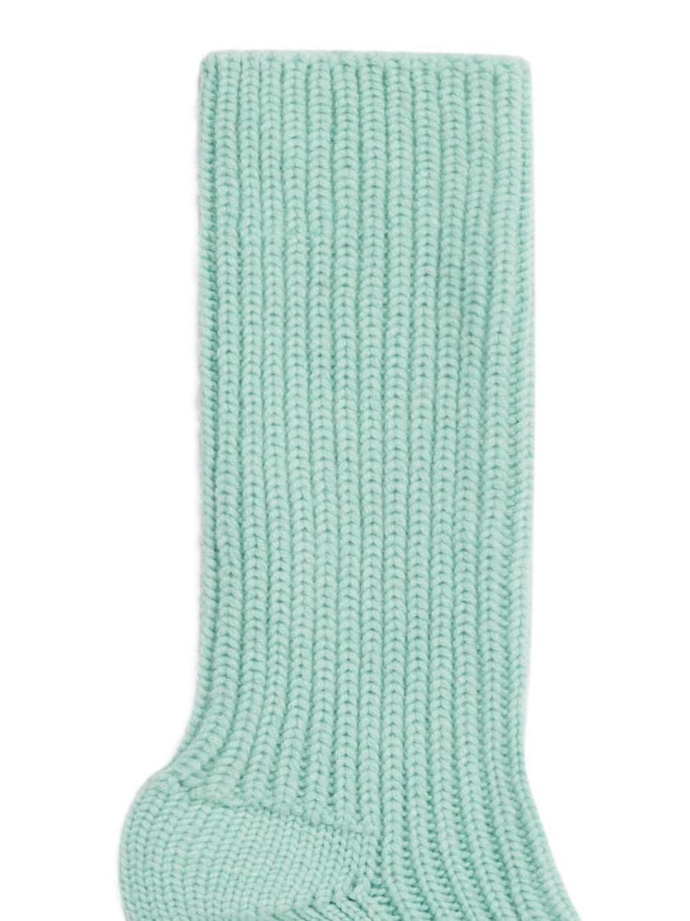 Shop Alanui Ribbed Knit Socks In Anisette