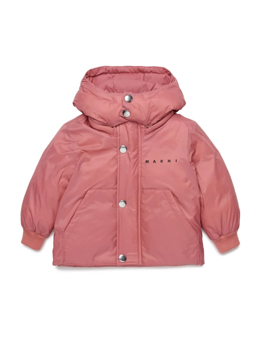 Marni Jacket In Pink