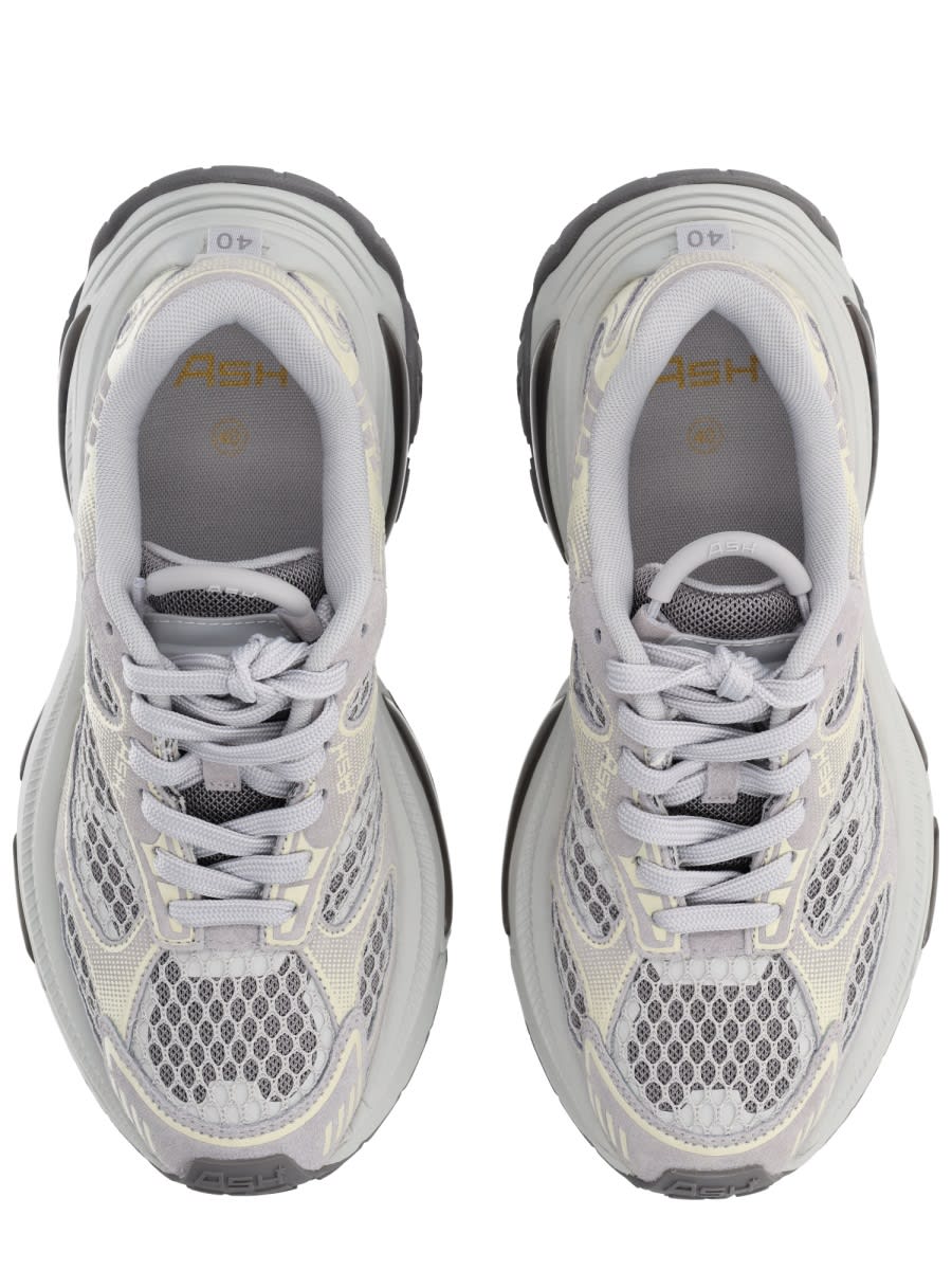 Ash Dragon Sneaker In Gray