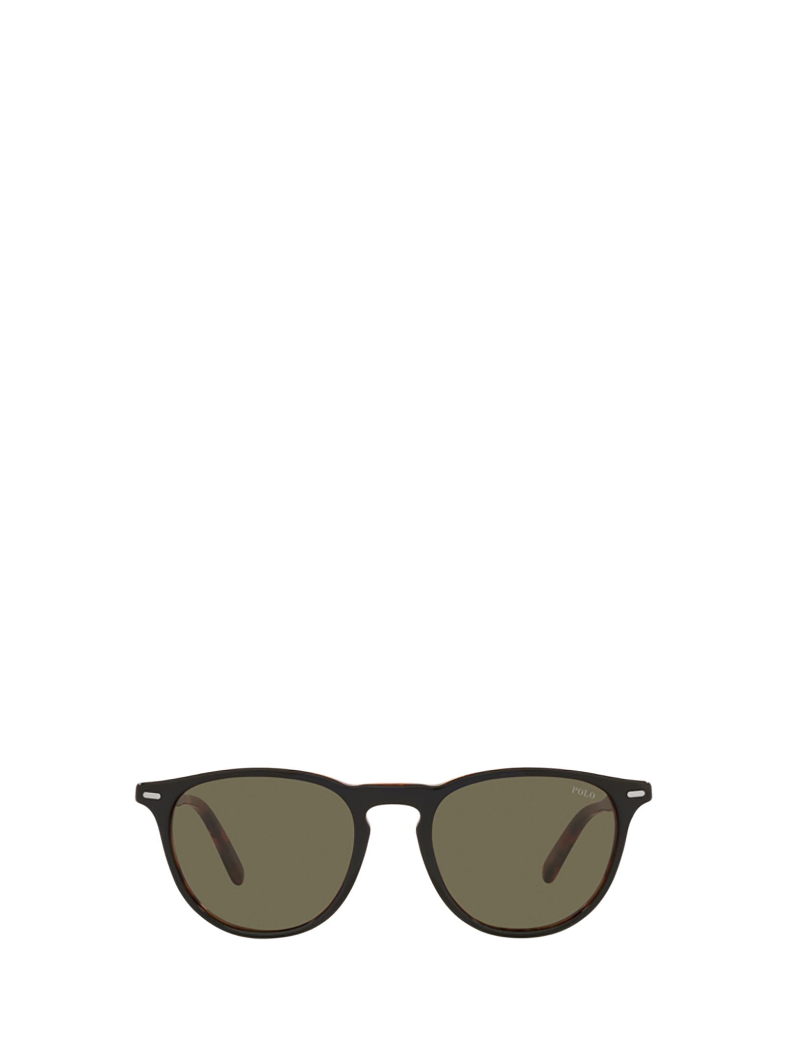 Polo Ralph Lauren Ph4181 Shiny Black Havana Sunglasses