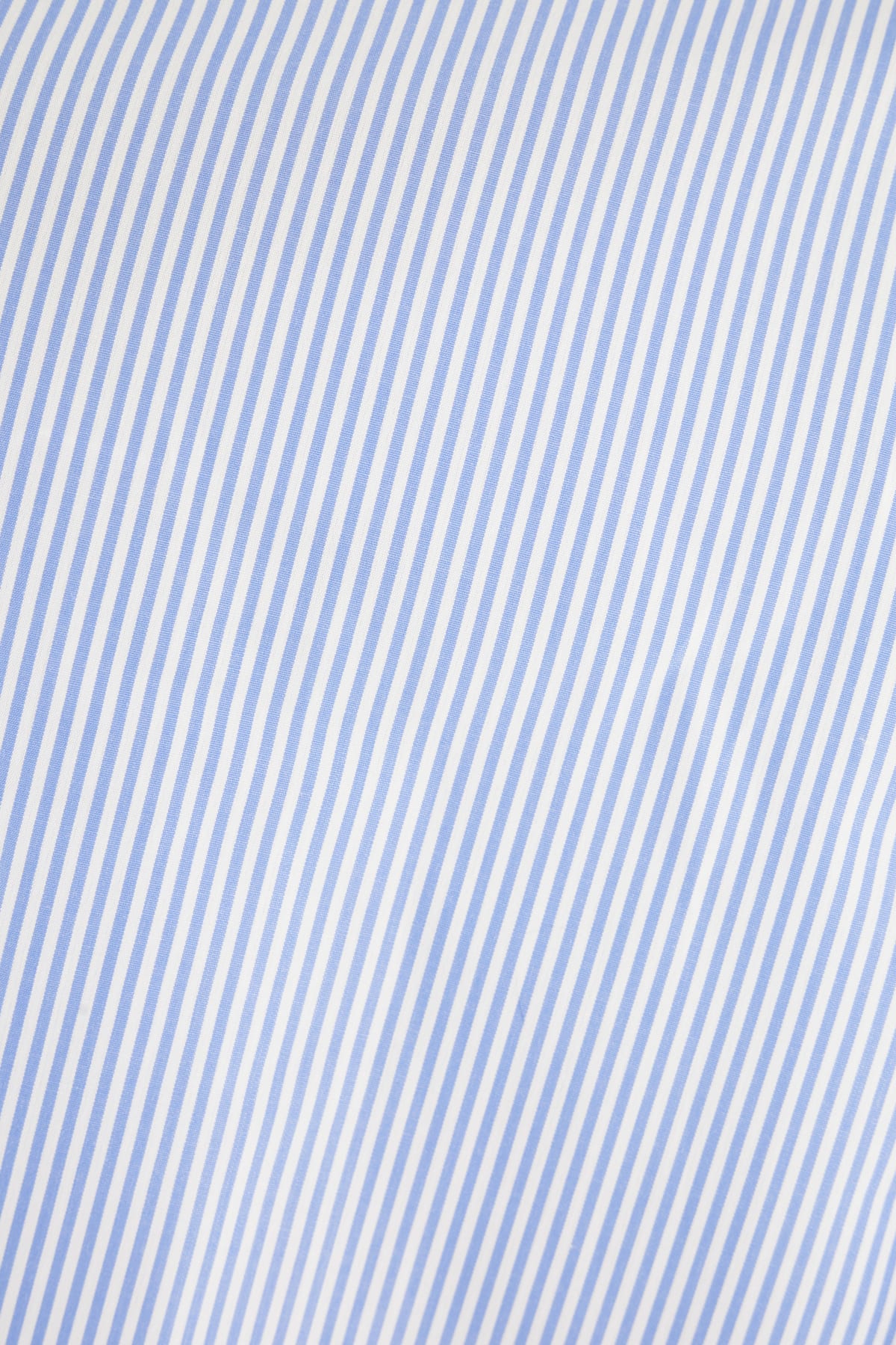 Barba Napoli Printed Poplin Shirt In Blue