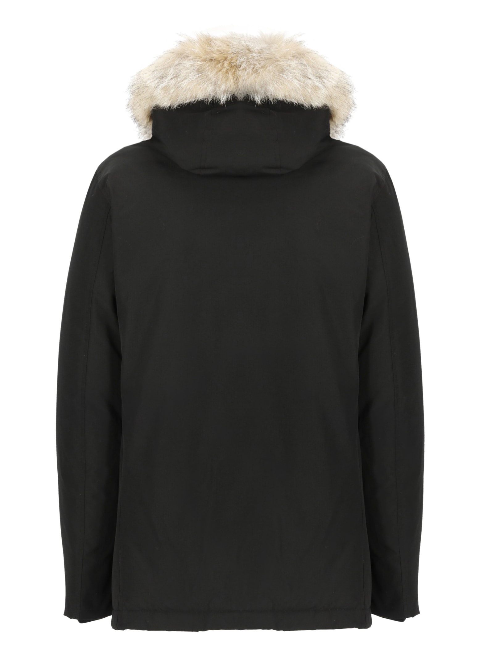Woolrich Arctic Parka In Black