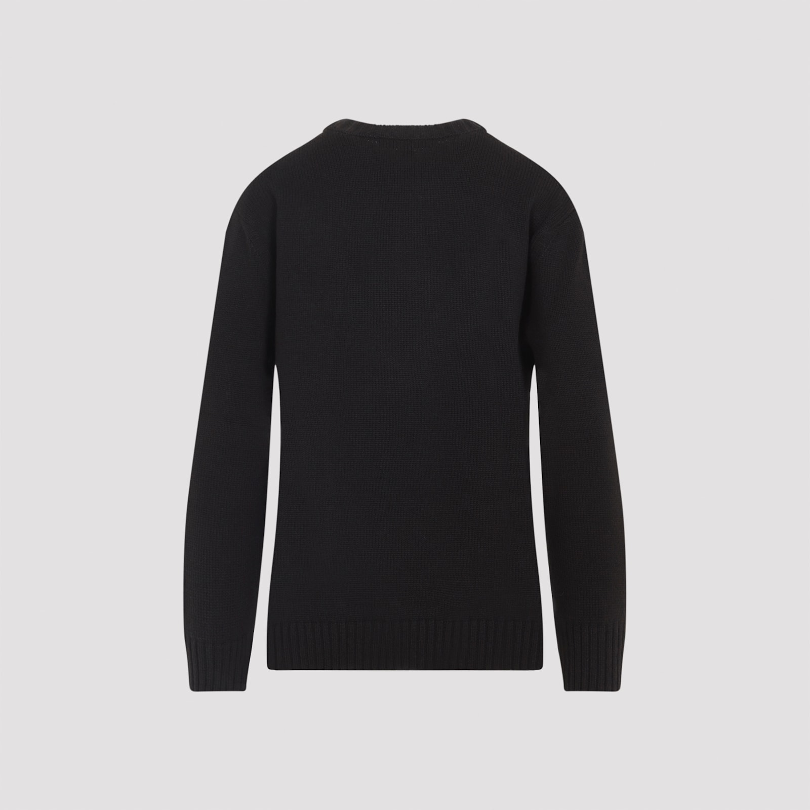 Ralph Lauren Crew Neck Embroidered Knitwear In Brown