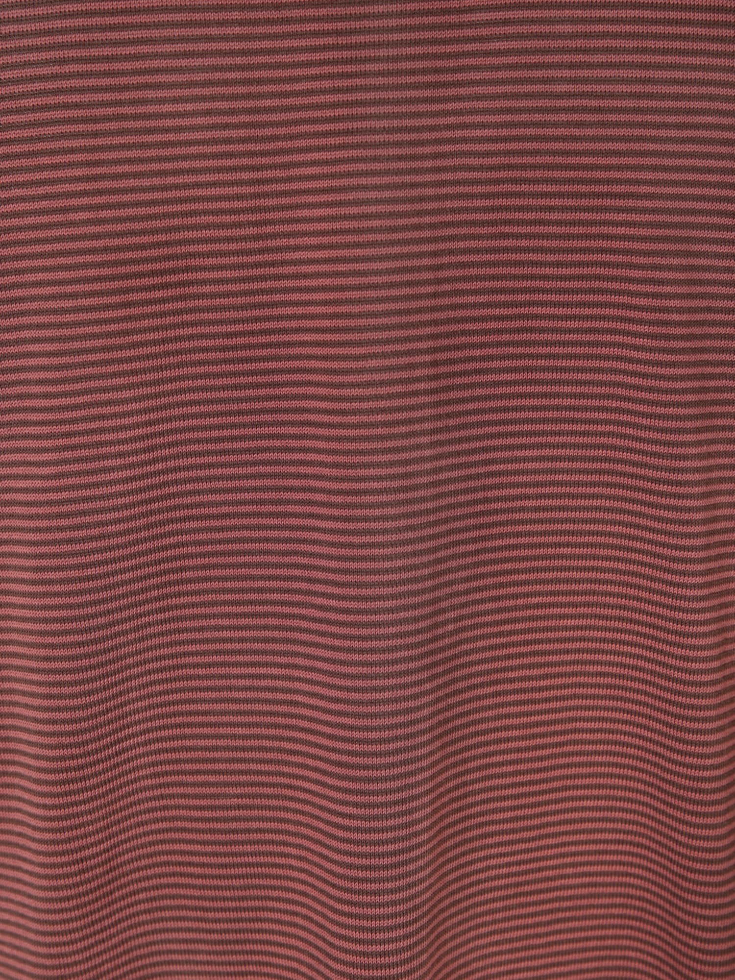 Lardini Cotton T-shirt With Round Neck And Short Sleeves In Brown
