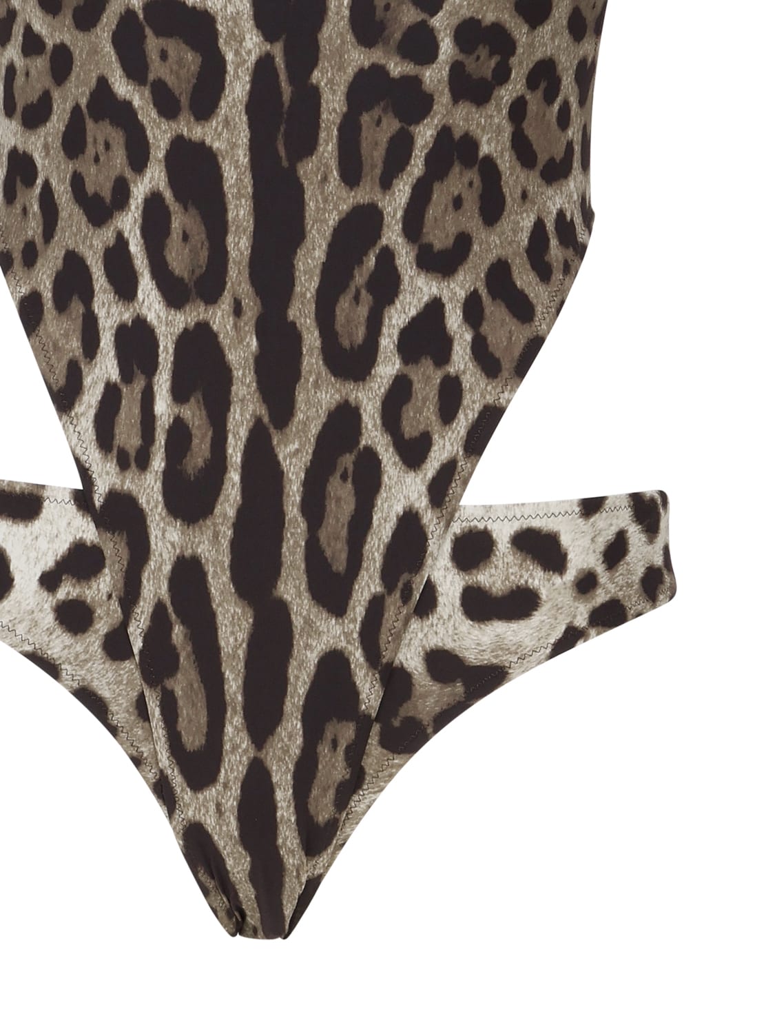 Shop Dolce & Gabbana Leopard Print One-piece Swimsuit With Cut-out