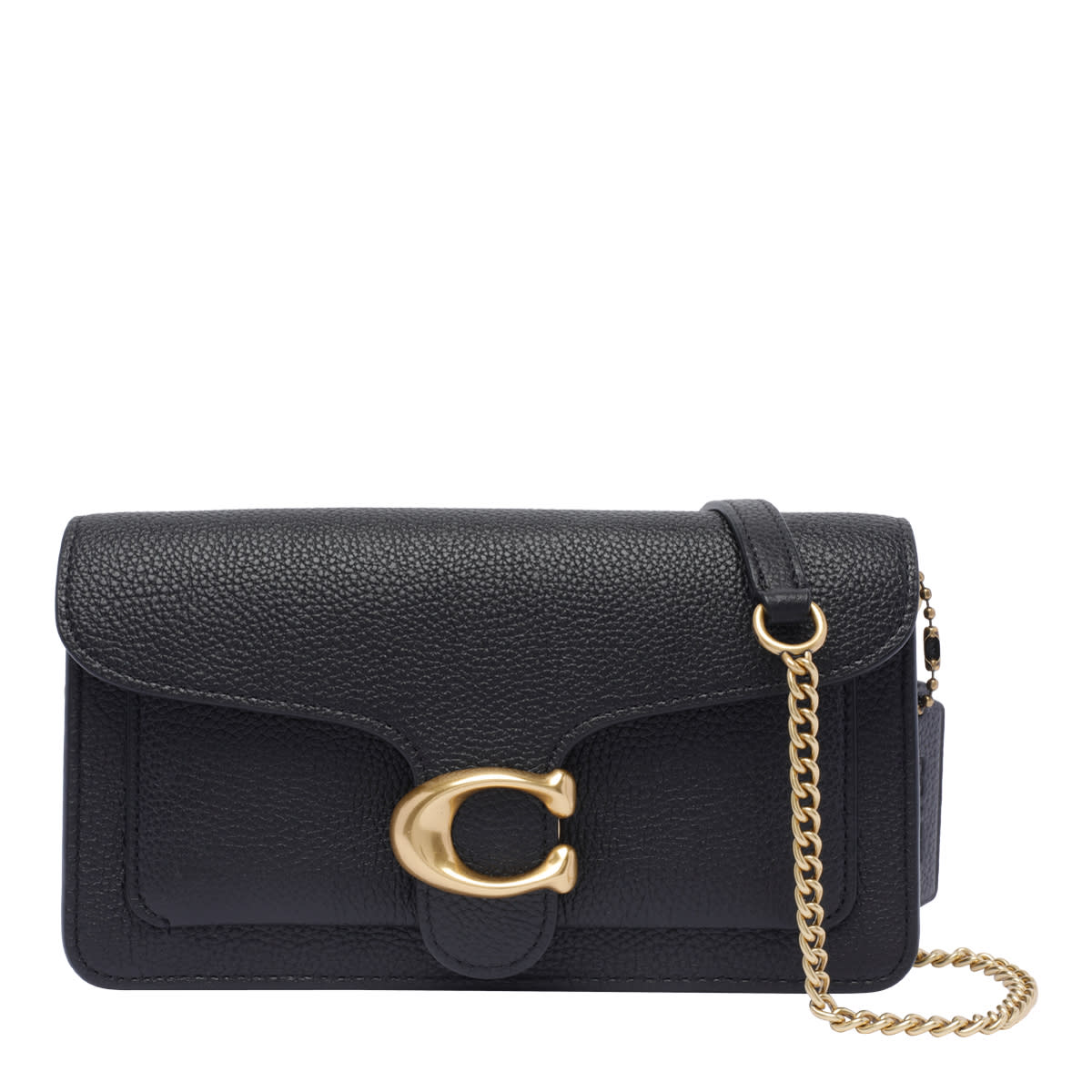 Tabby Clutch