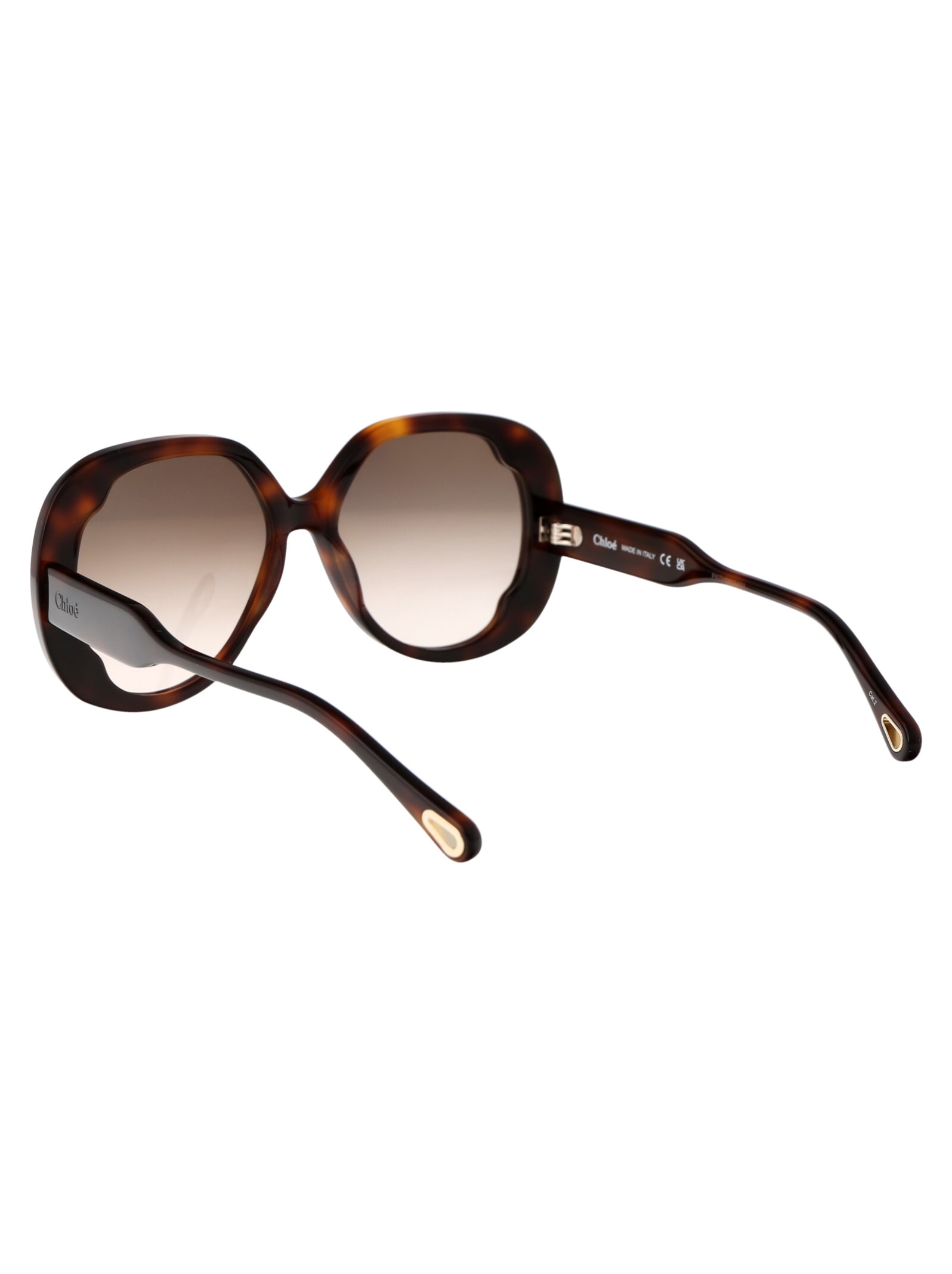 Shop Chloé Ch0195s Sunglasses In 002 Havana Havana Brown