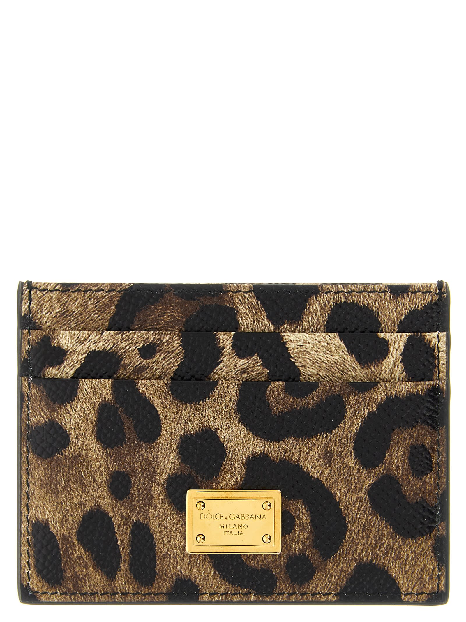 Dolce & Gabbana Animal Print Card Holder In Multi