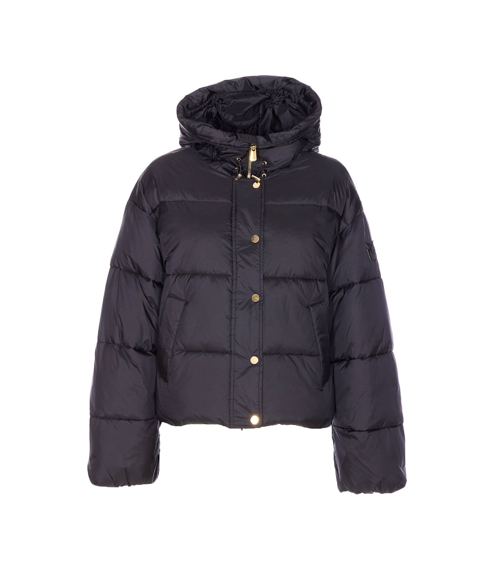 Pinko Impasto Down Jacket In Black