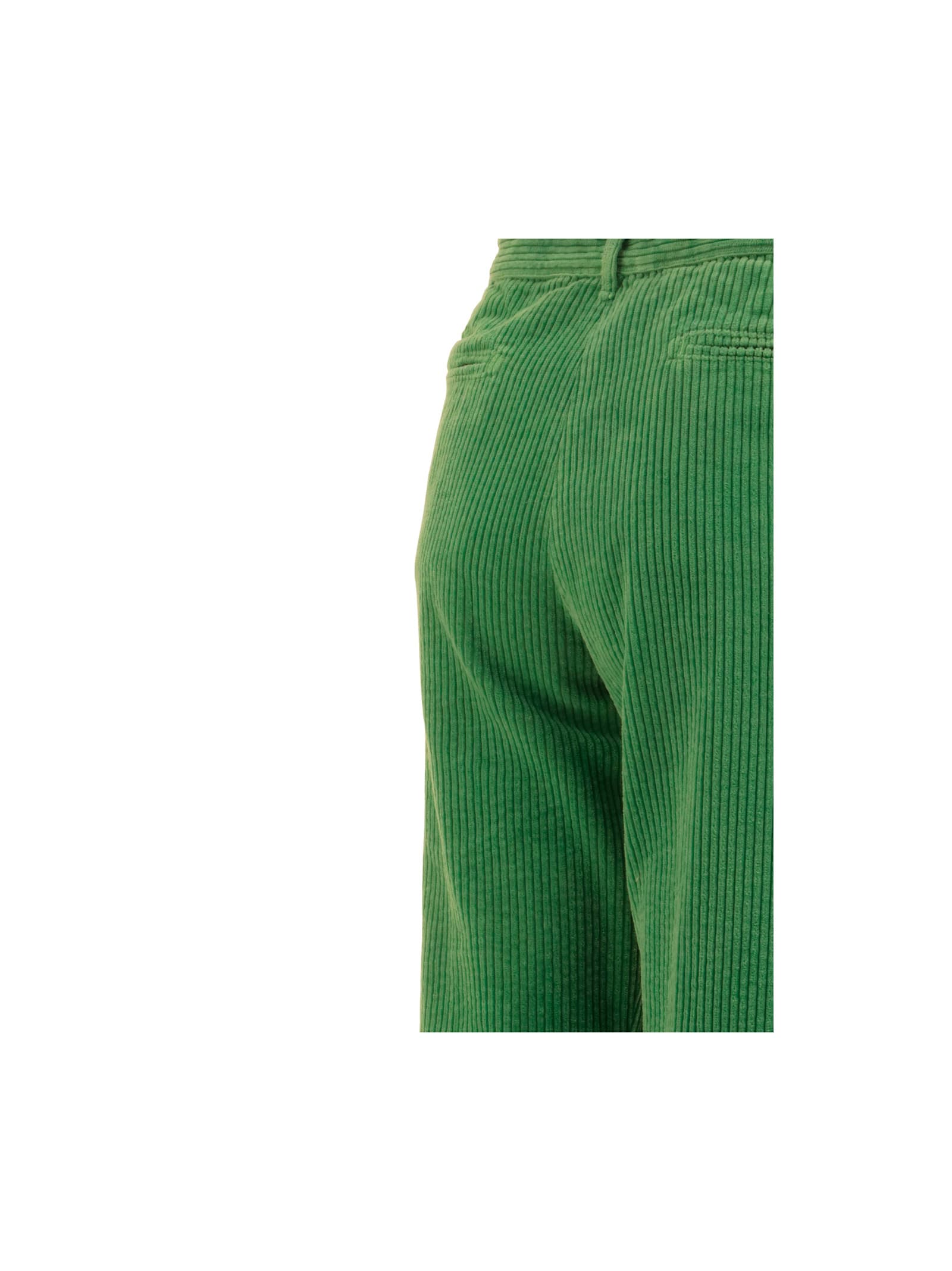 Shop Massimo Alba Pants In Leaf