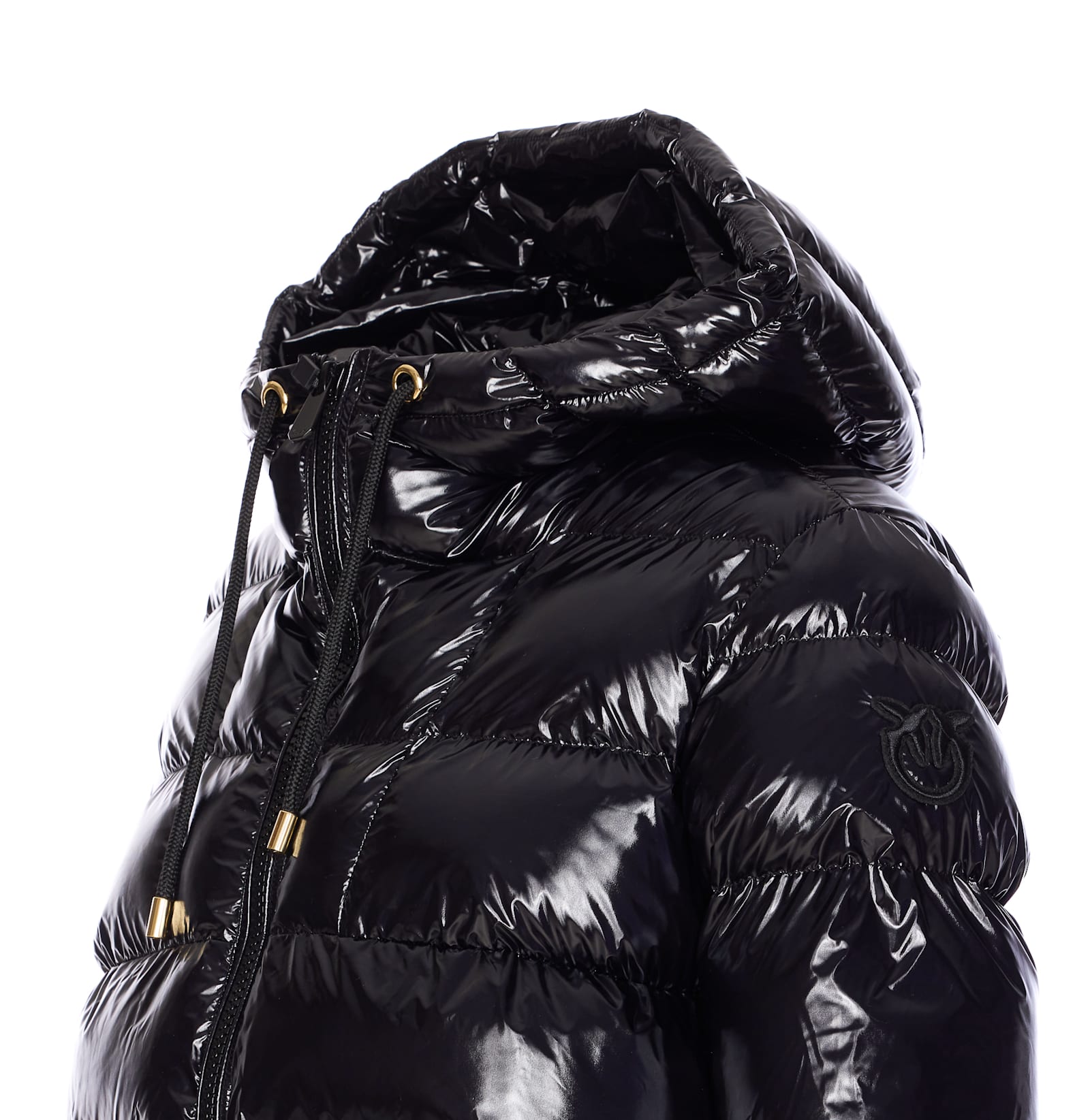 Pinko Eleodoro Down Jacket In Black