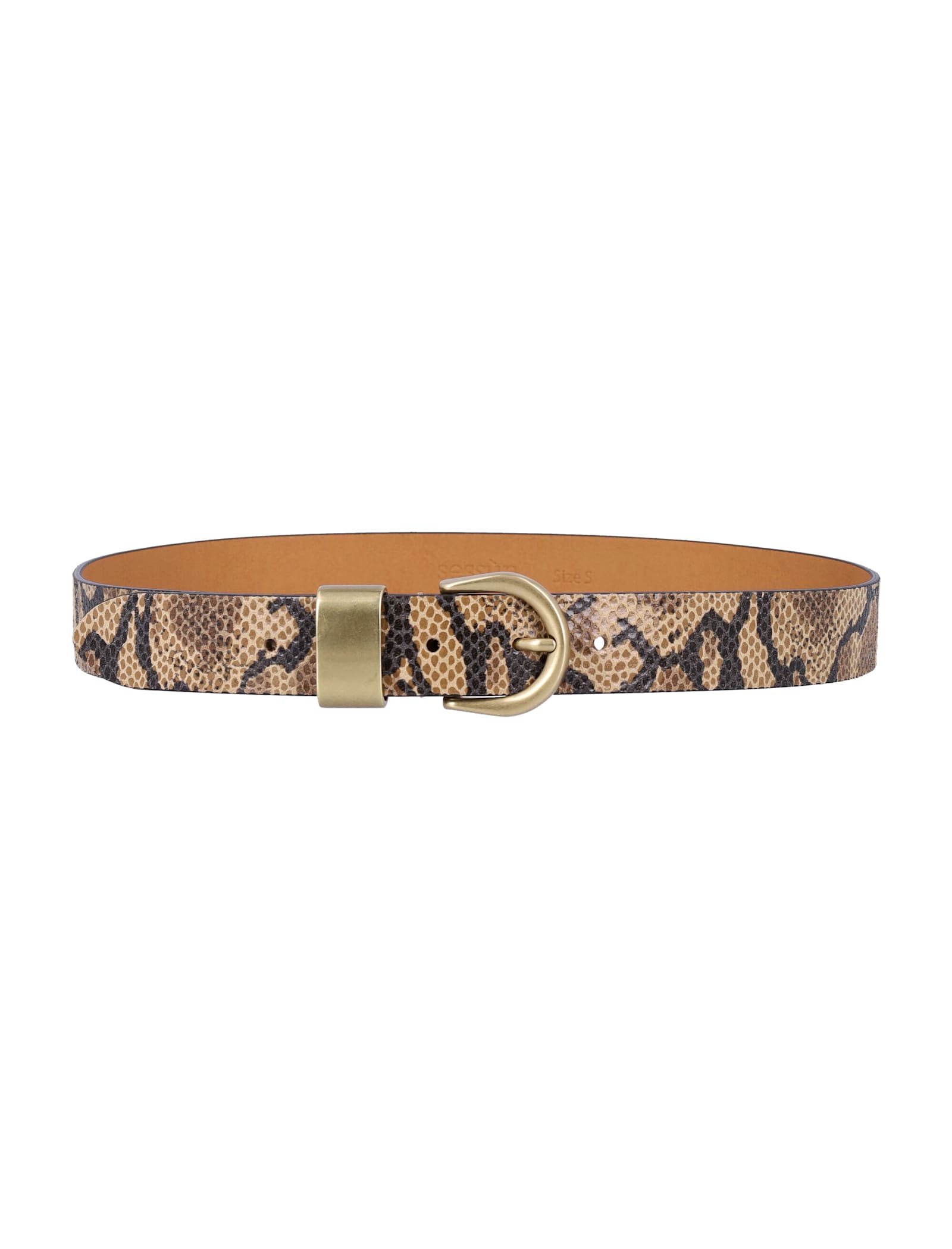 Sessun Belts In Brown