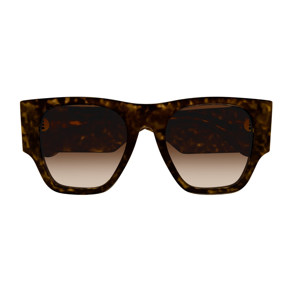 Chloé Ch0233s Linea Chloé 002 Havana Brown Sunglasses