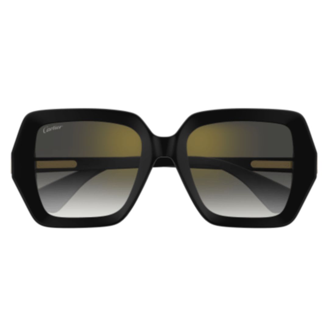 Cartier Ct0507s-001 Black-black-grey In Black