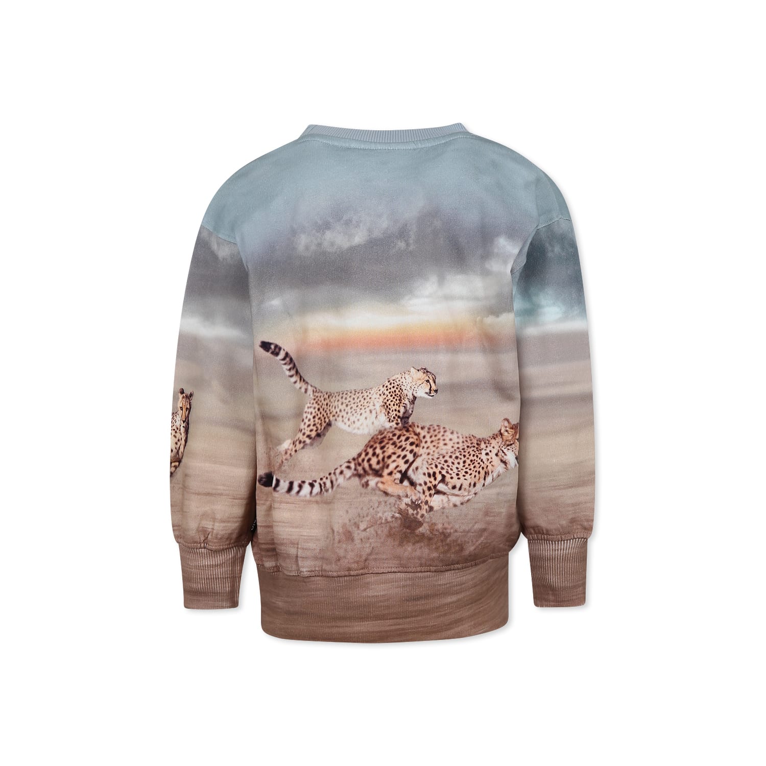 Molo Multicolor Sweatshirt For Boy With Cheetah In Multicolor