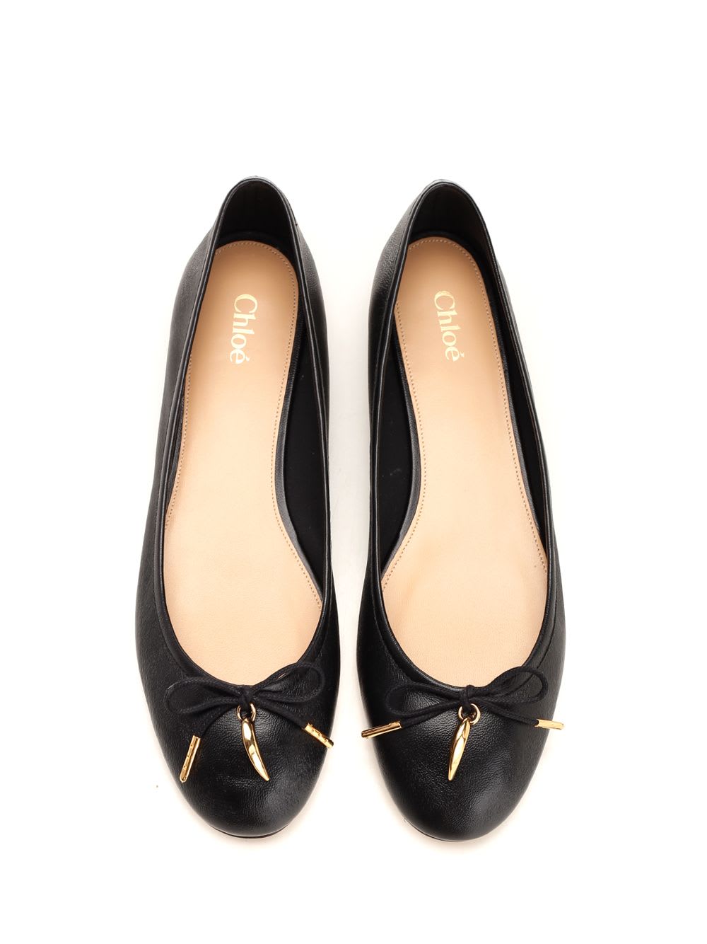 Shop Chloé Iris Flat Shoes In Black