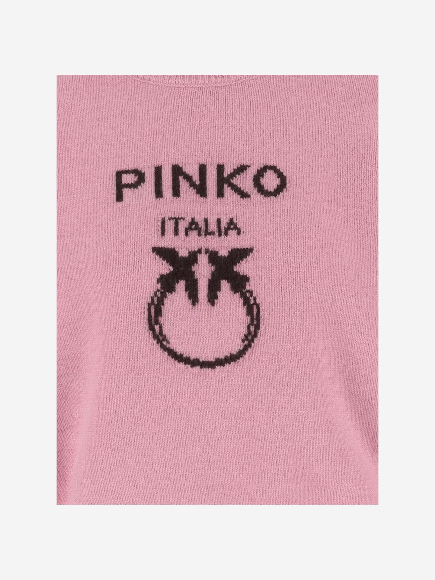 Shop Pinko Wool Sweater With Logo In Rosa E Marrone