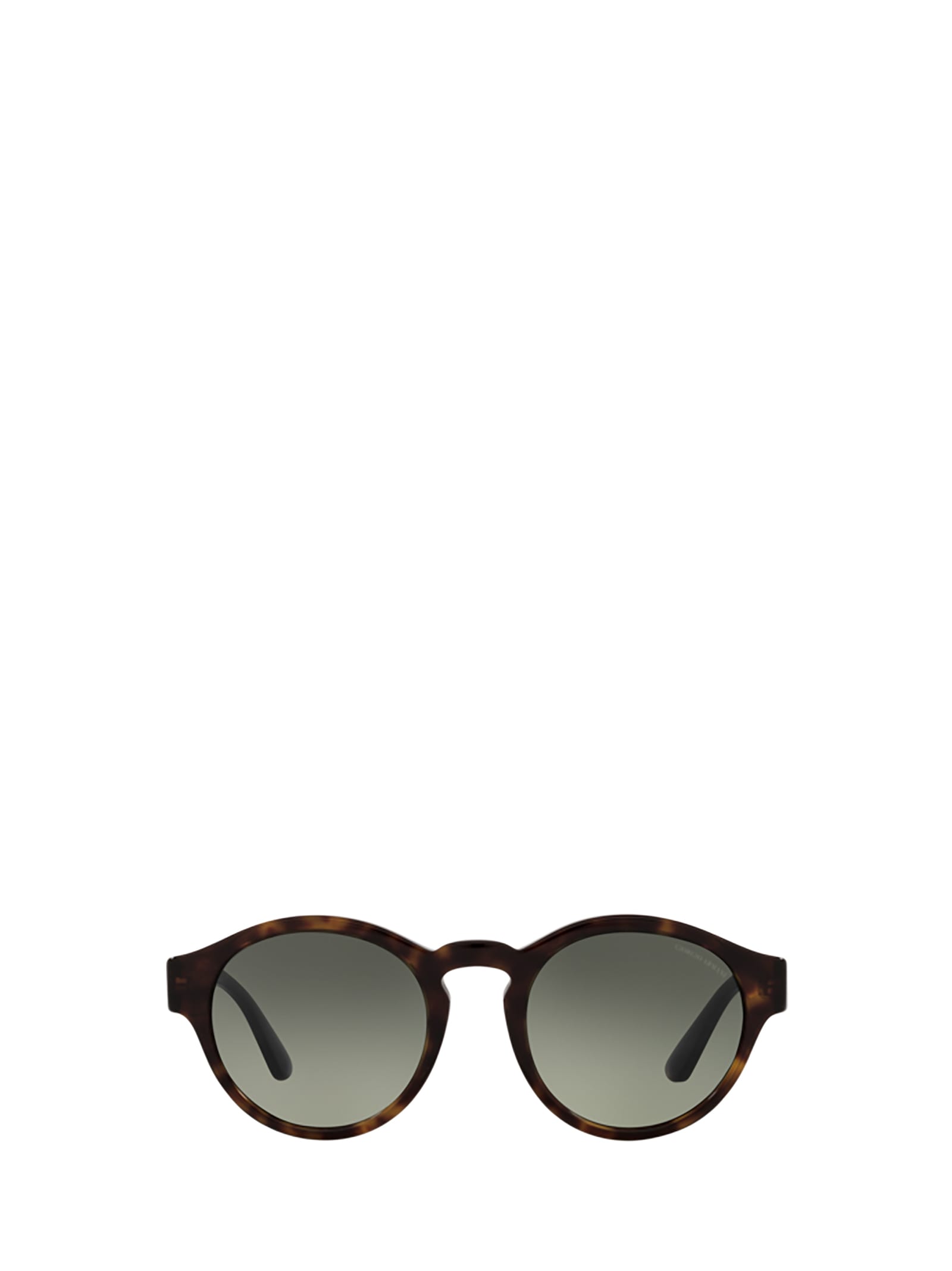 Ar8146 Havana Sunglasses