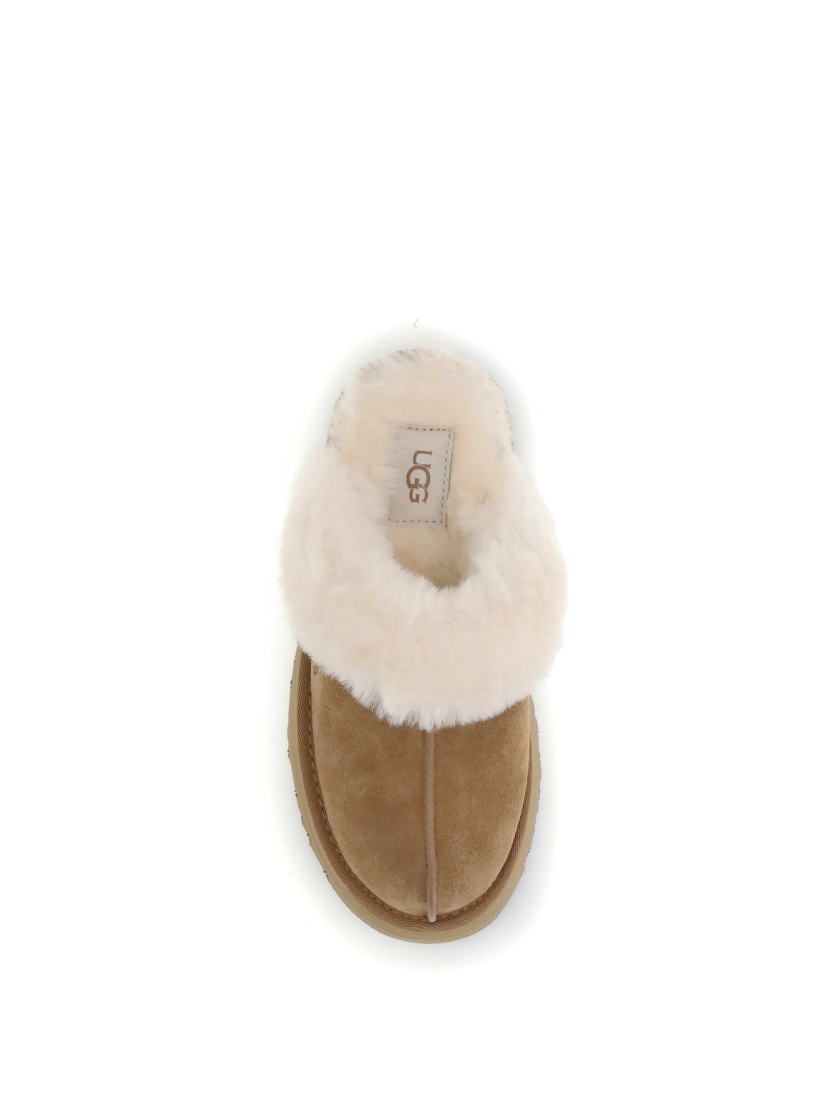 Ugg Disquette Slides