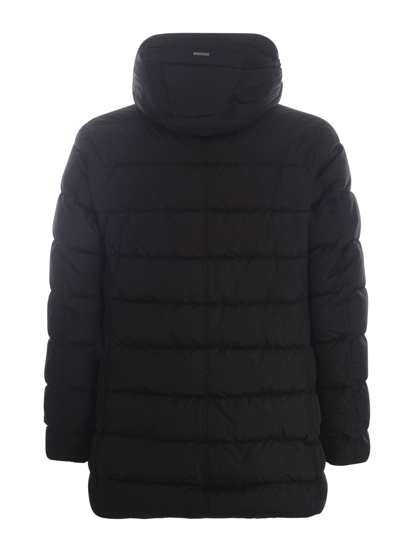 Shop Herno Down Jacket  In Nylon In Black