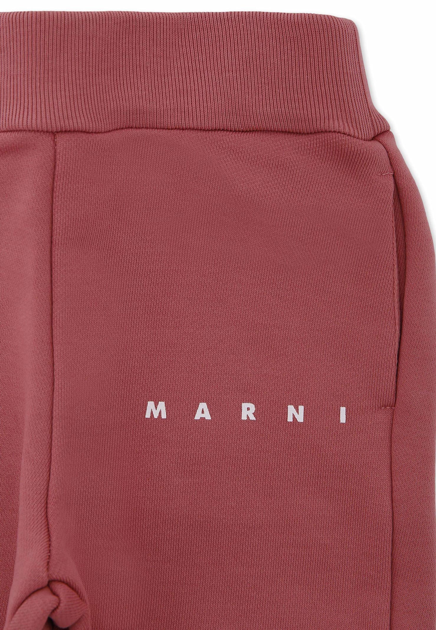 Marni Pink Trousers For Baby Girl With Logo In Red