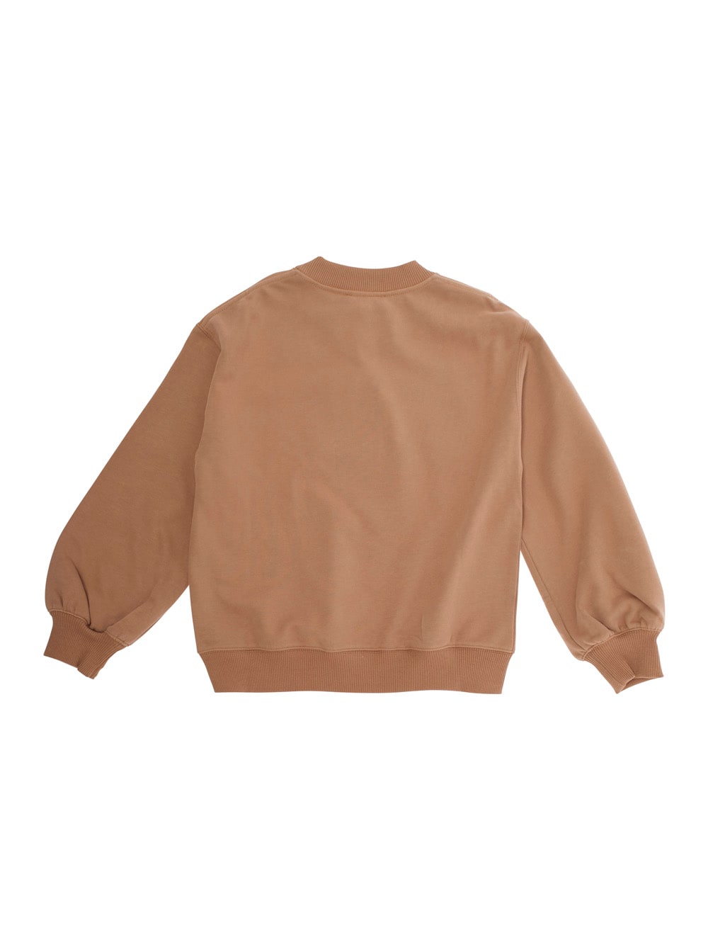 Chloé C2064931c In Brown