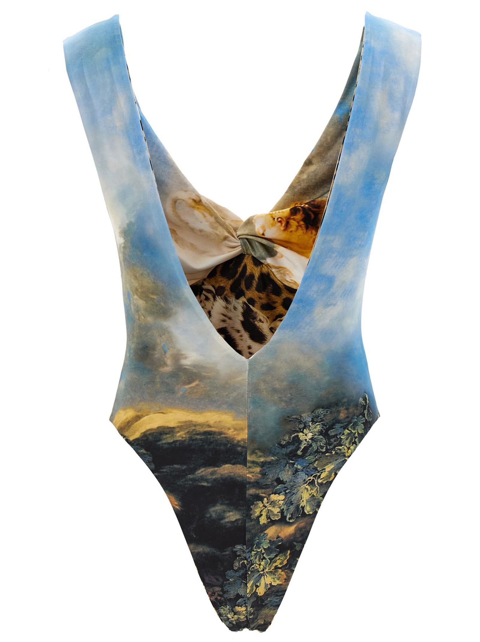 Shop Roberto Cavalli Wild Leda Reversible Inner Swimsuit In Multicolor