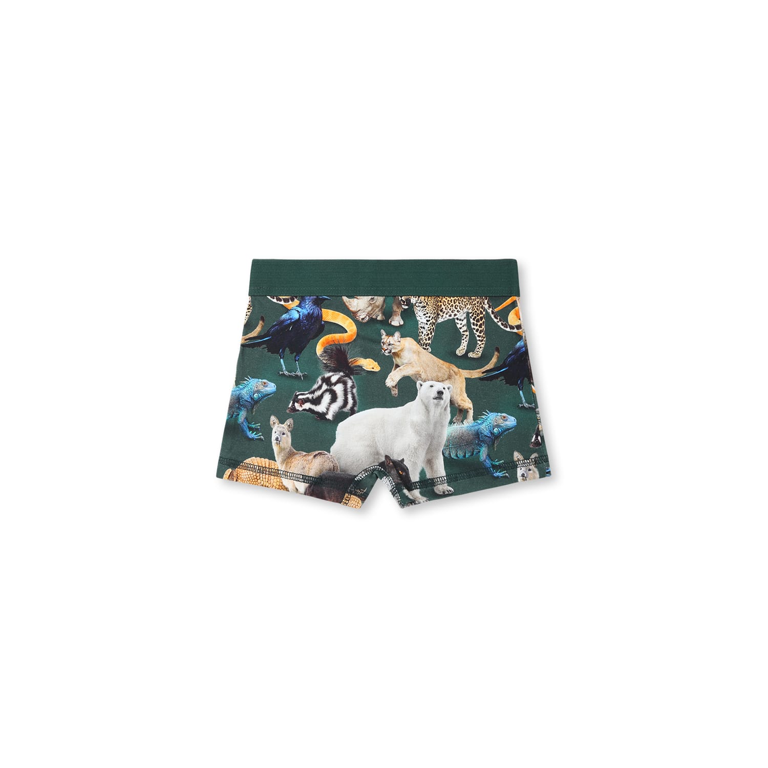 Shop Molo Green Boxer Shorts Set For Boy With Animal Print