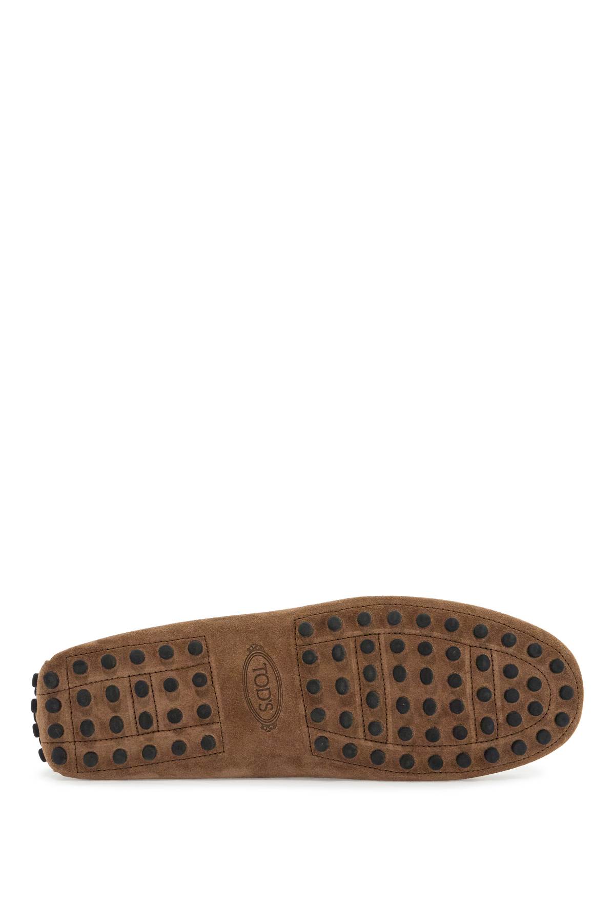 Tod's Light Walnut Leather Driving Moccasin Men In Noce Chiaro (brown)