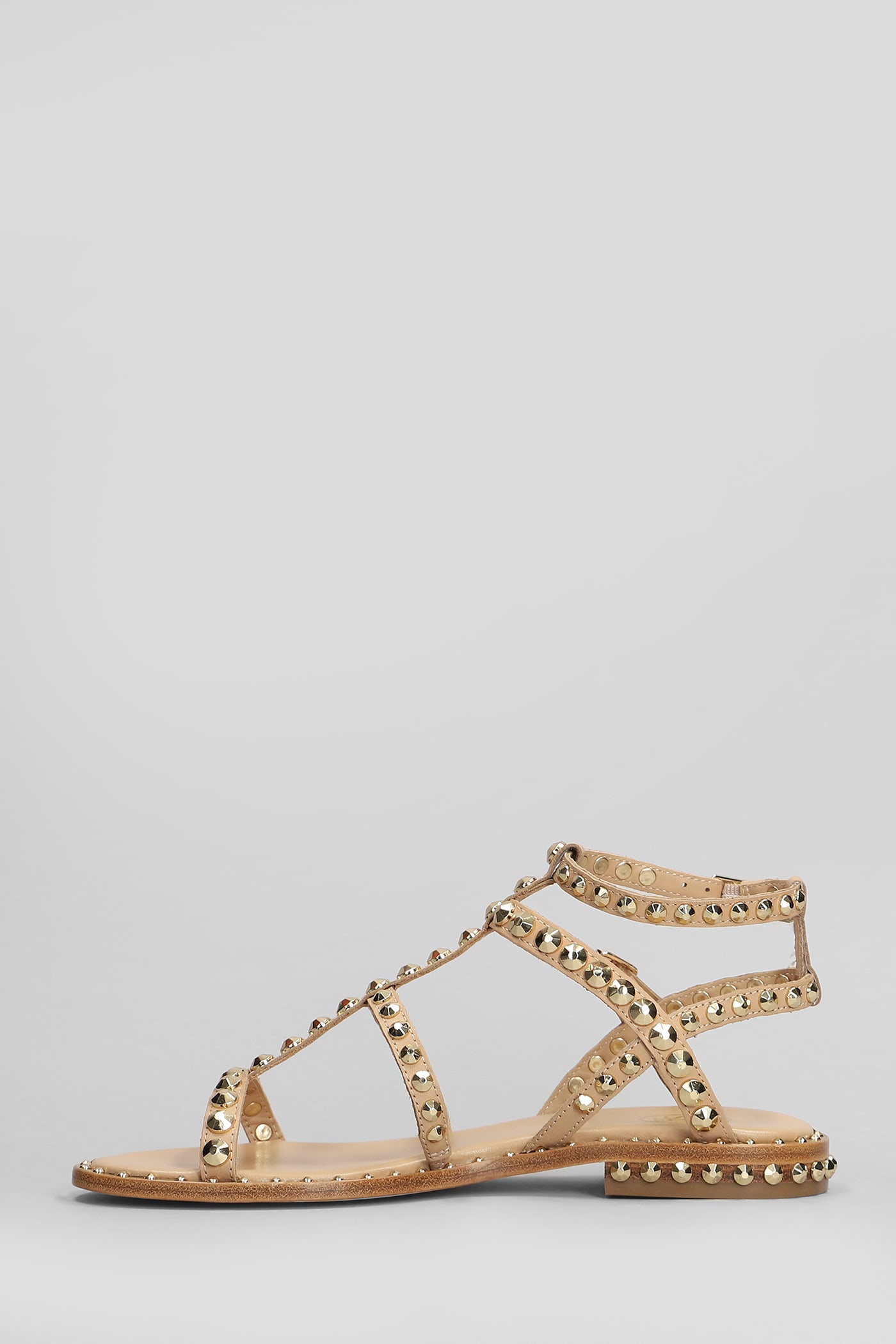 Ash Precious Flats In Powder Leather In Powder