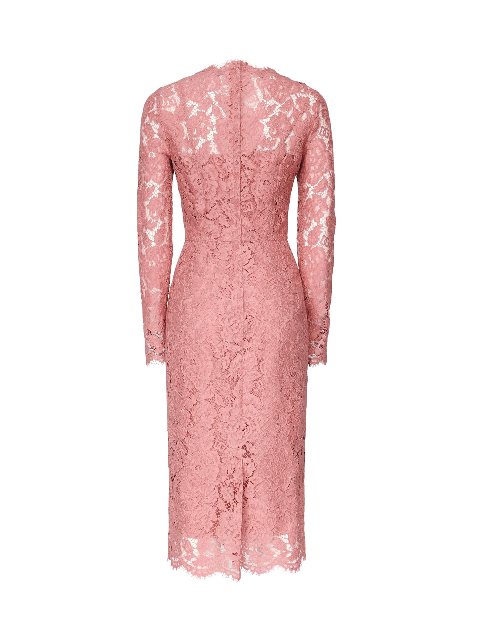 Dolce & Gabbana Women Branded Floral Cardonetto Lace Sheath Dress In Pink