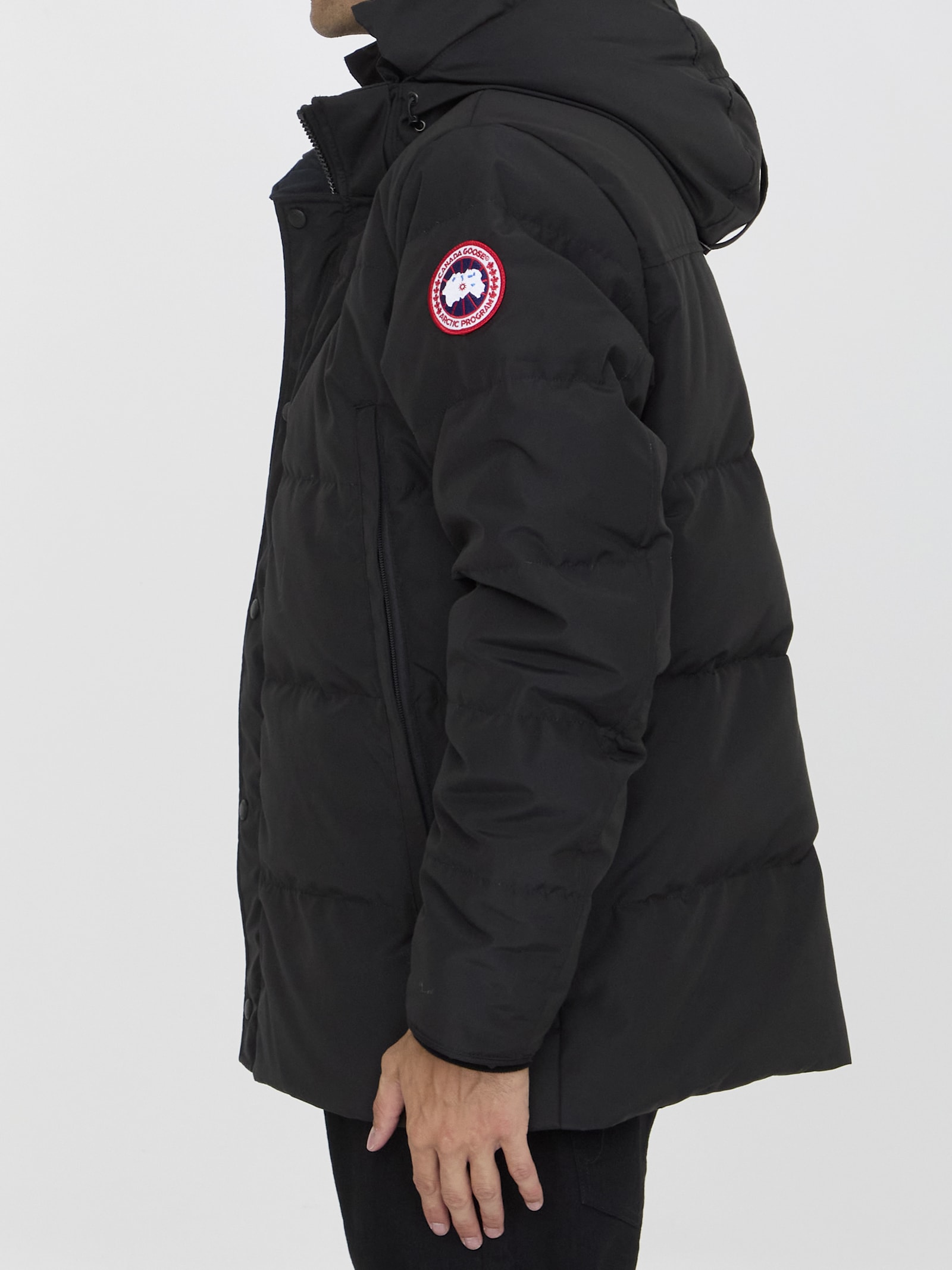 Shop Canada Goose Wyndham Parka In Black