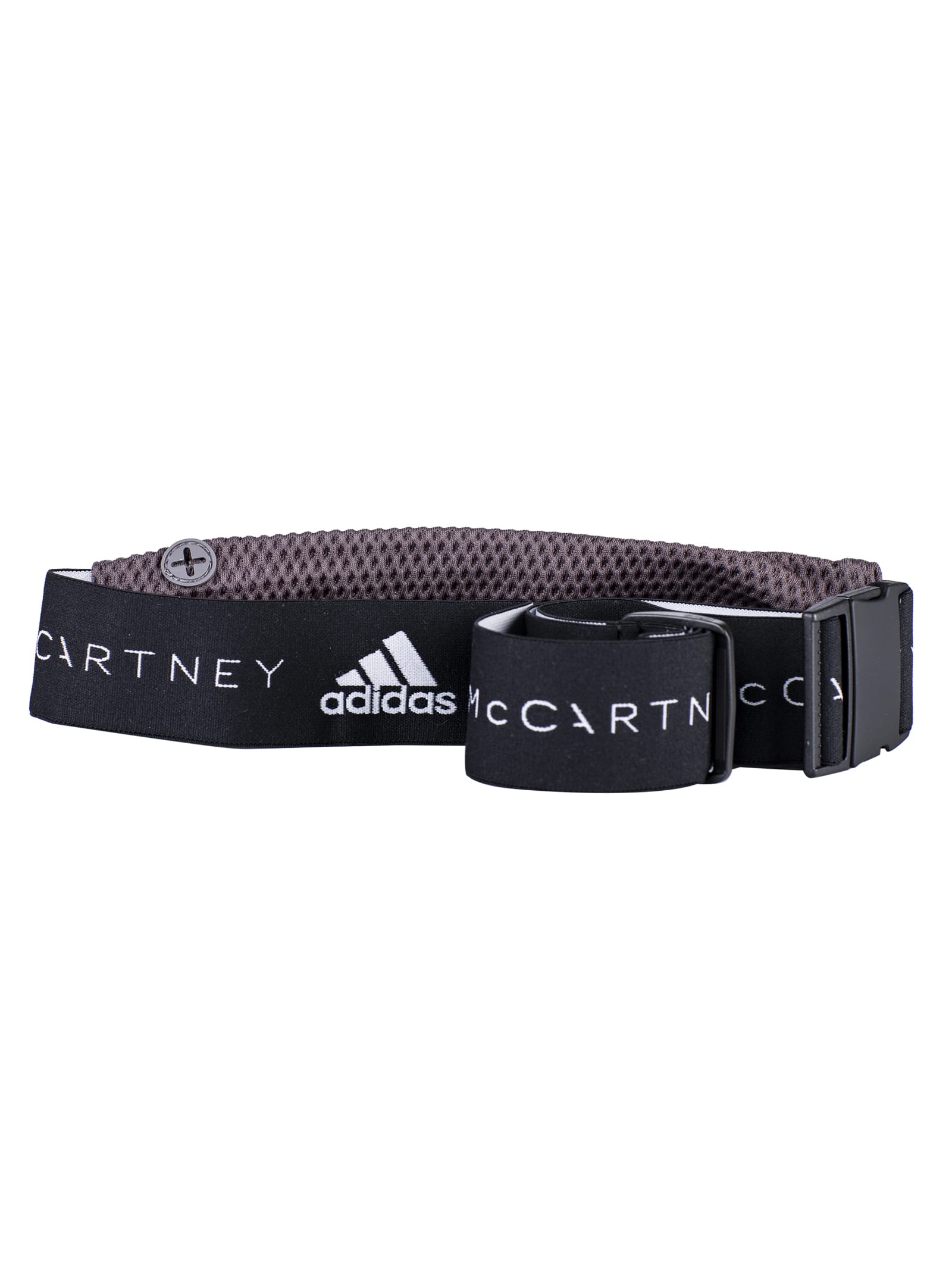 adidas dog collar